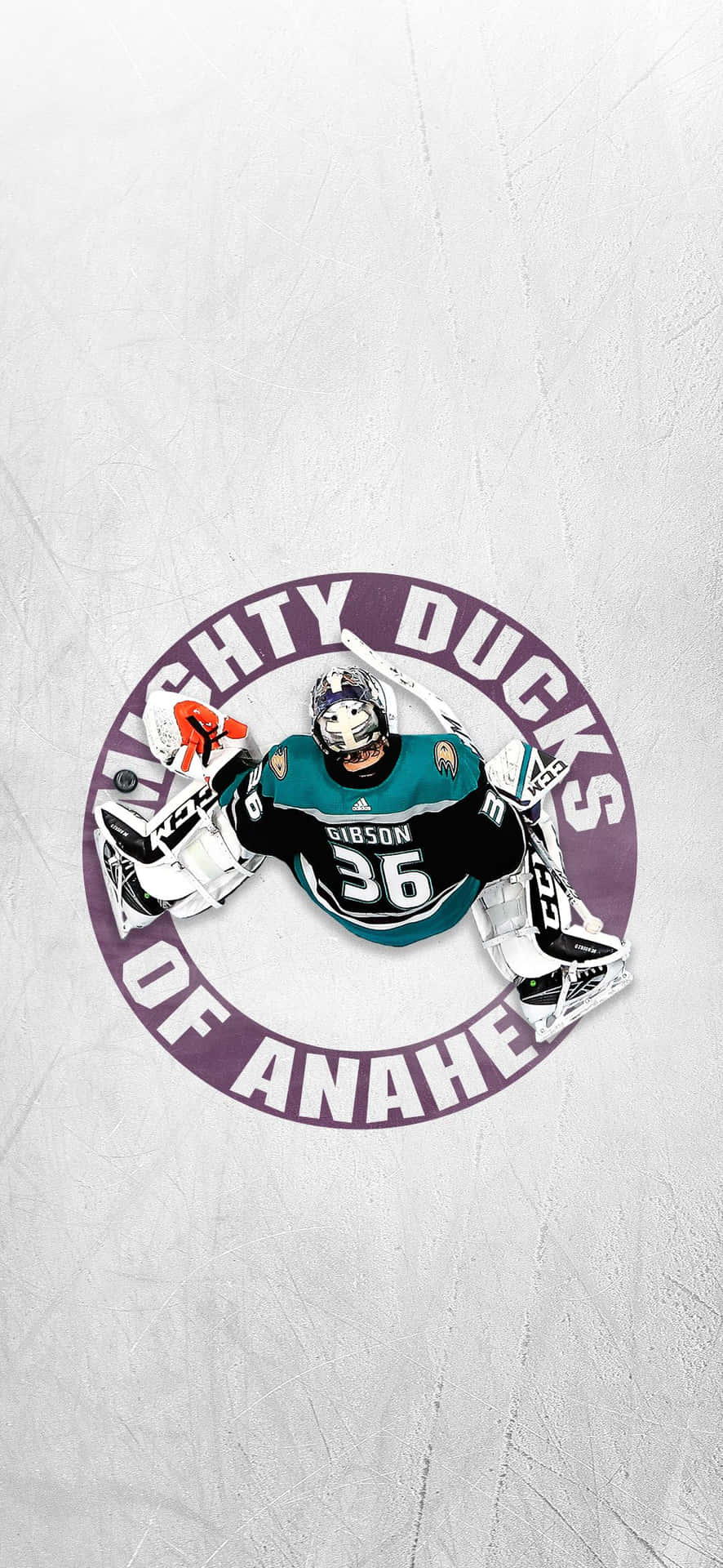 身穿Mighty Ducks of Anaheim球衣的冰球守門員在球隊標誌內。