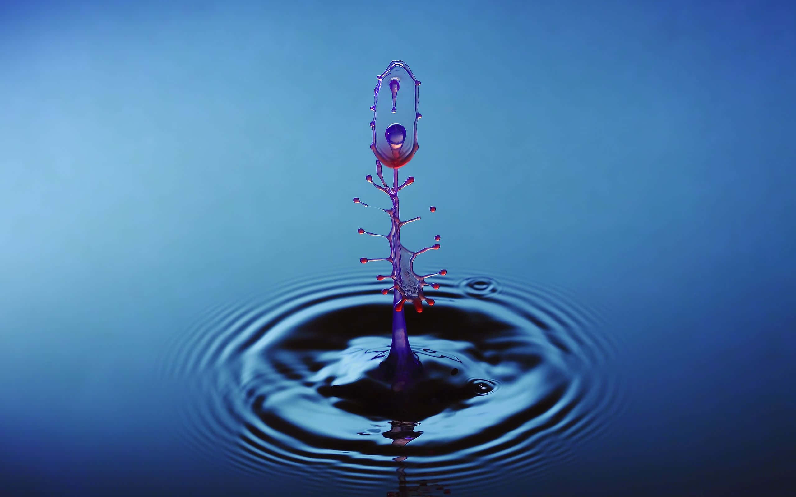 3d Water 桌布 壁紙 — 完美捕捉的水滴以慢動作向上飛濺，在漸變藍色背景上形成對稱的漣漪。