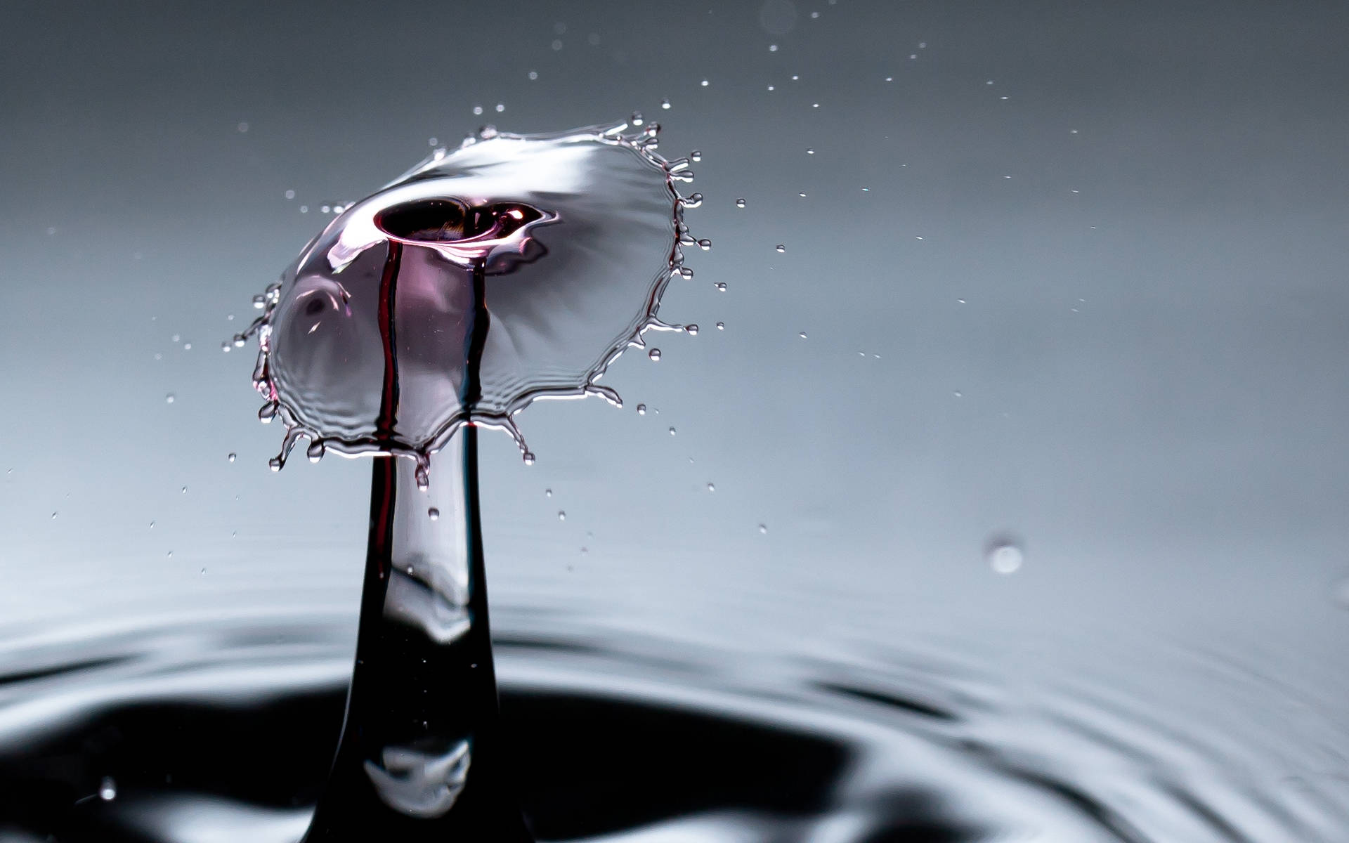Water Splash 桌布 壁紙 — 完美捕捉的水滴皇冠向上飛濺，背景為漸變灰色，下方有漣漪。