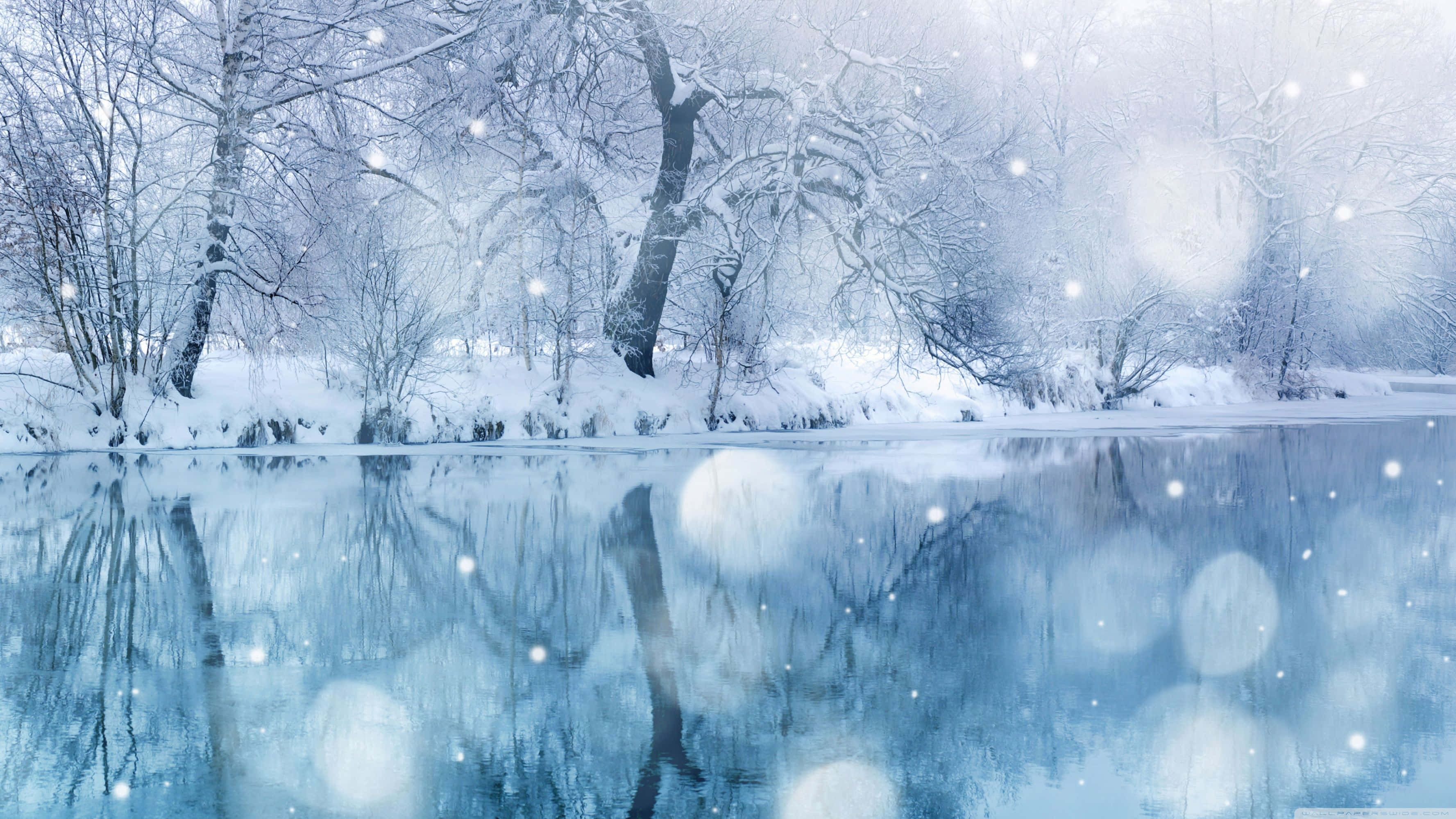 白雪覆蓋的樹木倒映在平靜的冬日河流中，雪花飄落。