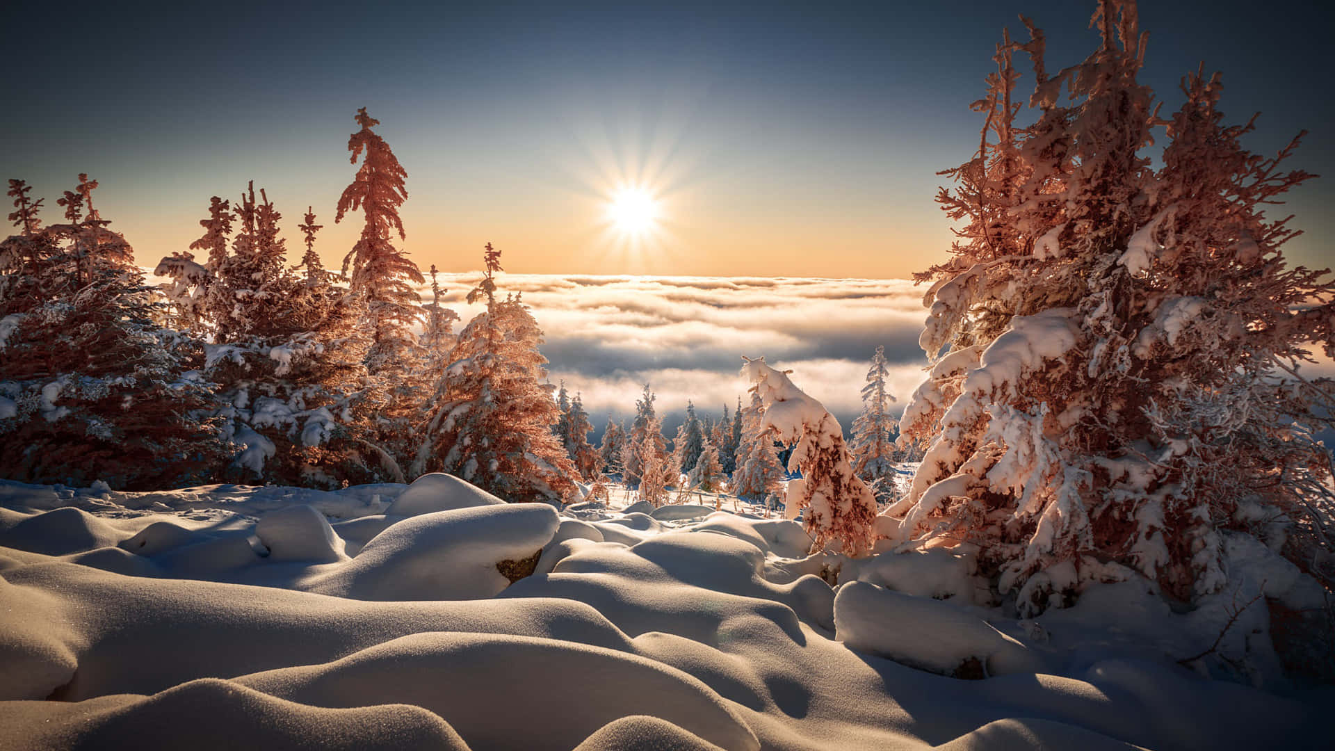 完美解析度的冬季風景 壁紙 — 在寧靜的冬季山景中，日出溫暖地照耀著白雪覆蓋的松樹，松樹高聳於雲海之上。