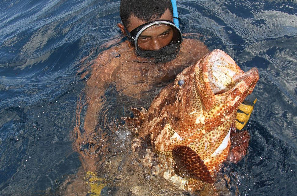 潛水員在海水中抱著大斑點魚