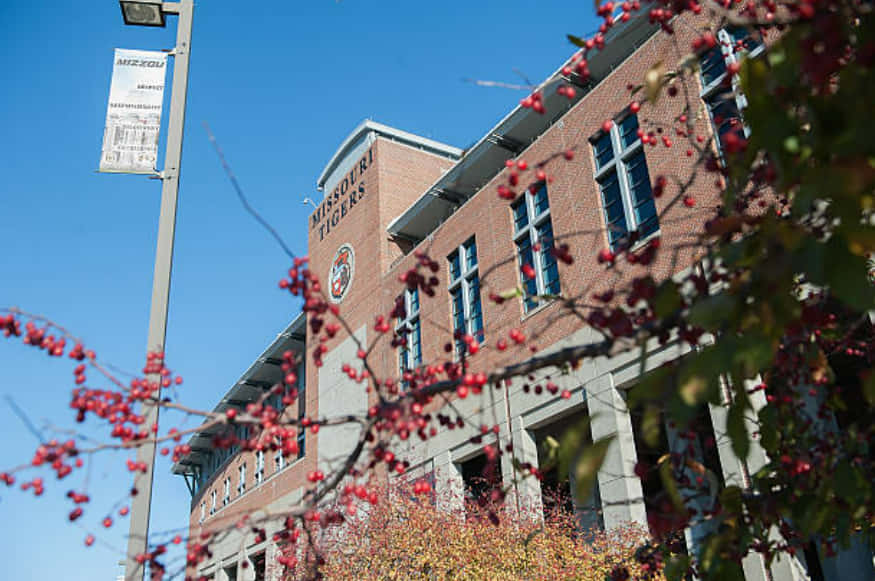 秋果環繞著一棟磚造大學建築，上面有密蘇里老虎標誌。