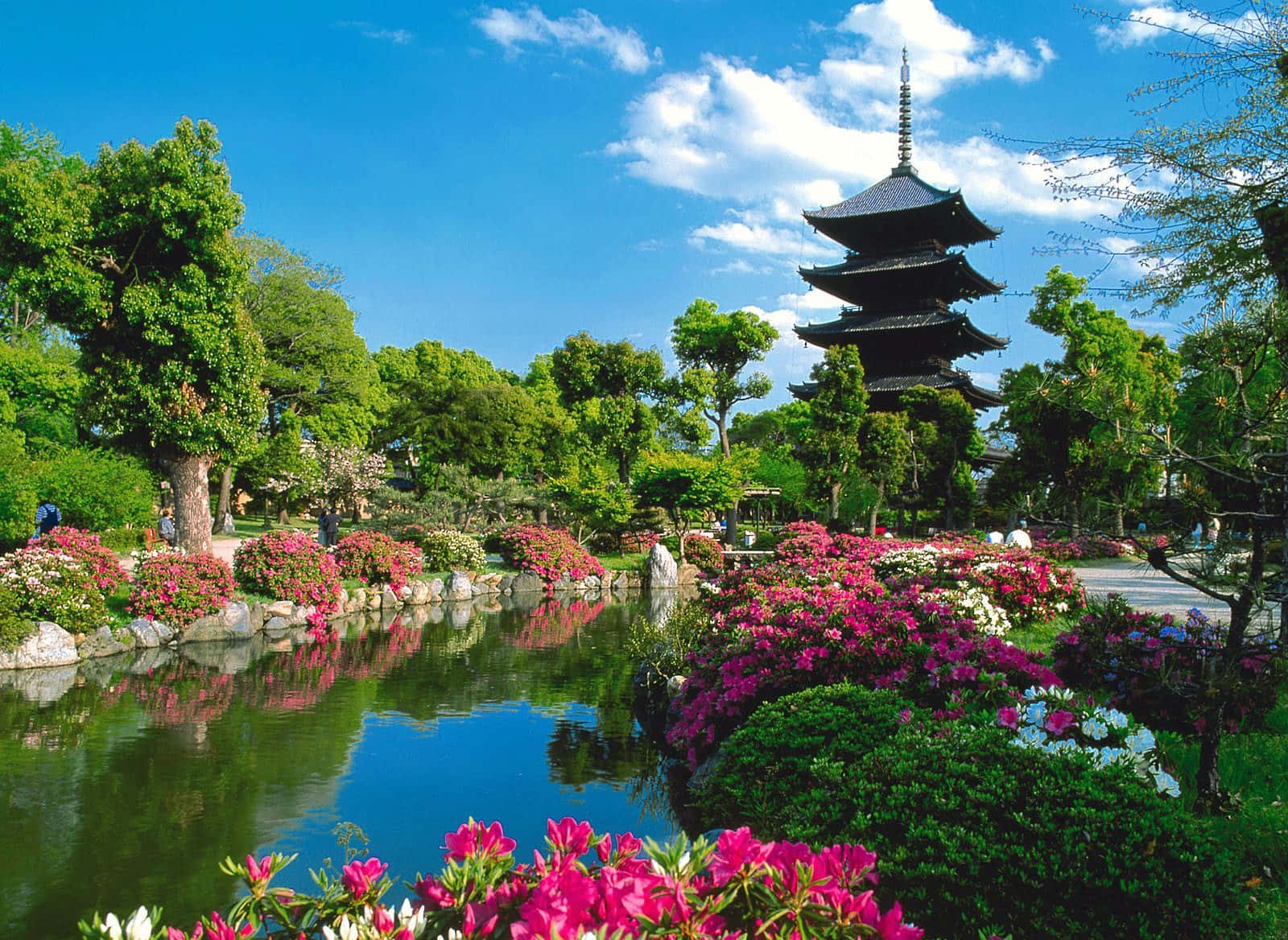 富士山——日本希望與靈感的象徵 壁紙 — 一個充滿活力的日本花園，多層寶塔倒映在平靜的池塘中，周圍環繞著茂密的綠色植物和盛開的粉紅色杜鵑花，在明亮的藍天下。