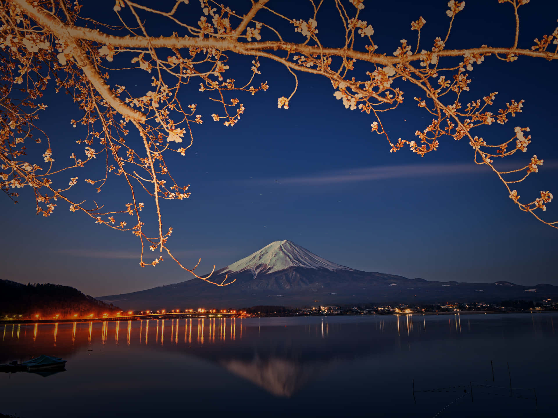 櫻花枝條在夜晚框住富士山，城市燈光倒映在水面上。