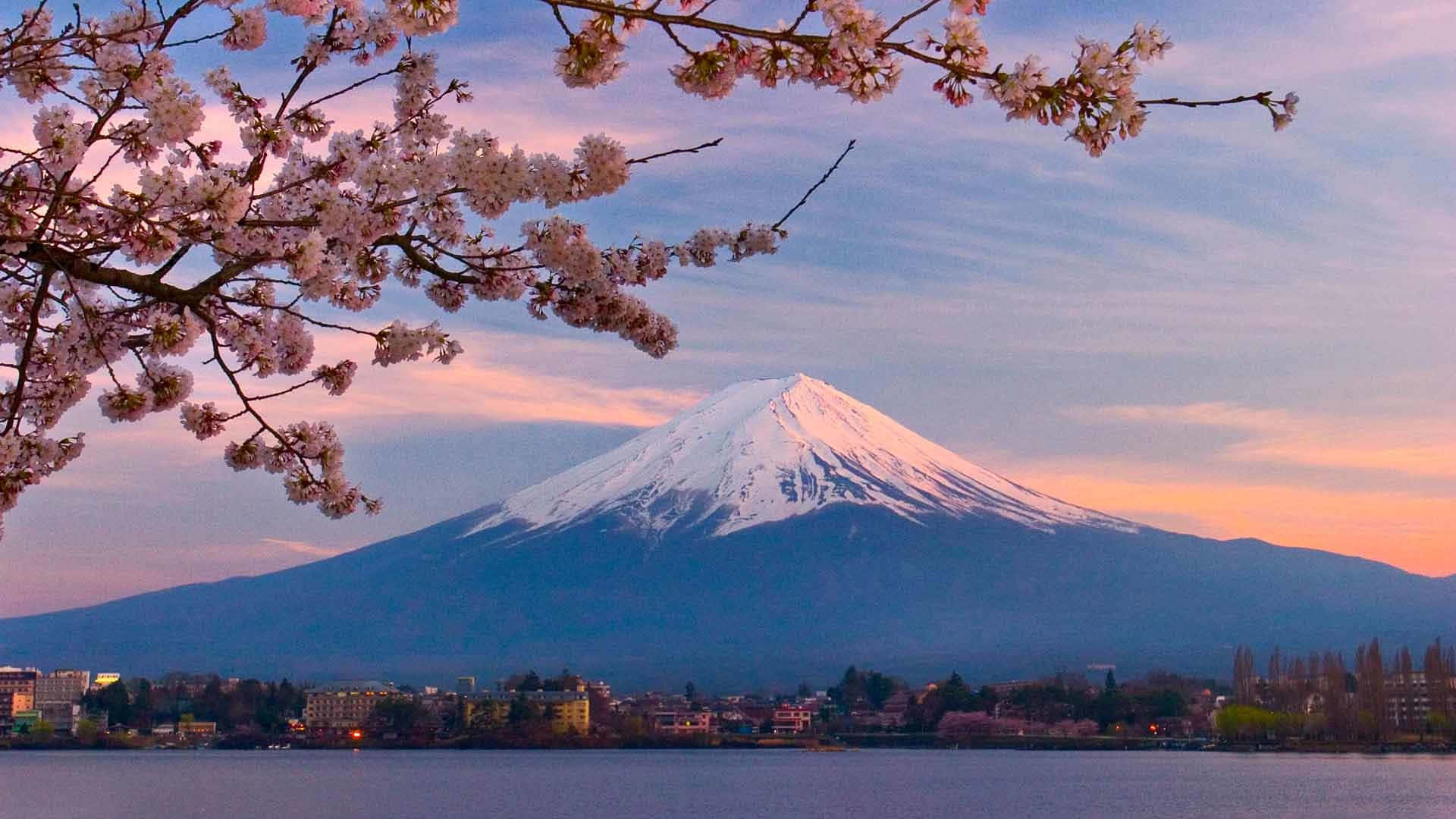 櫻花在平靜的湖面上環繞著日落時的富士山。