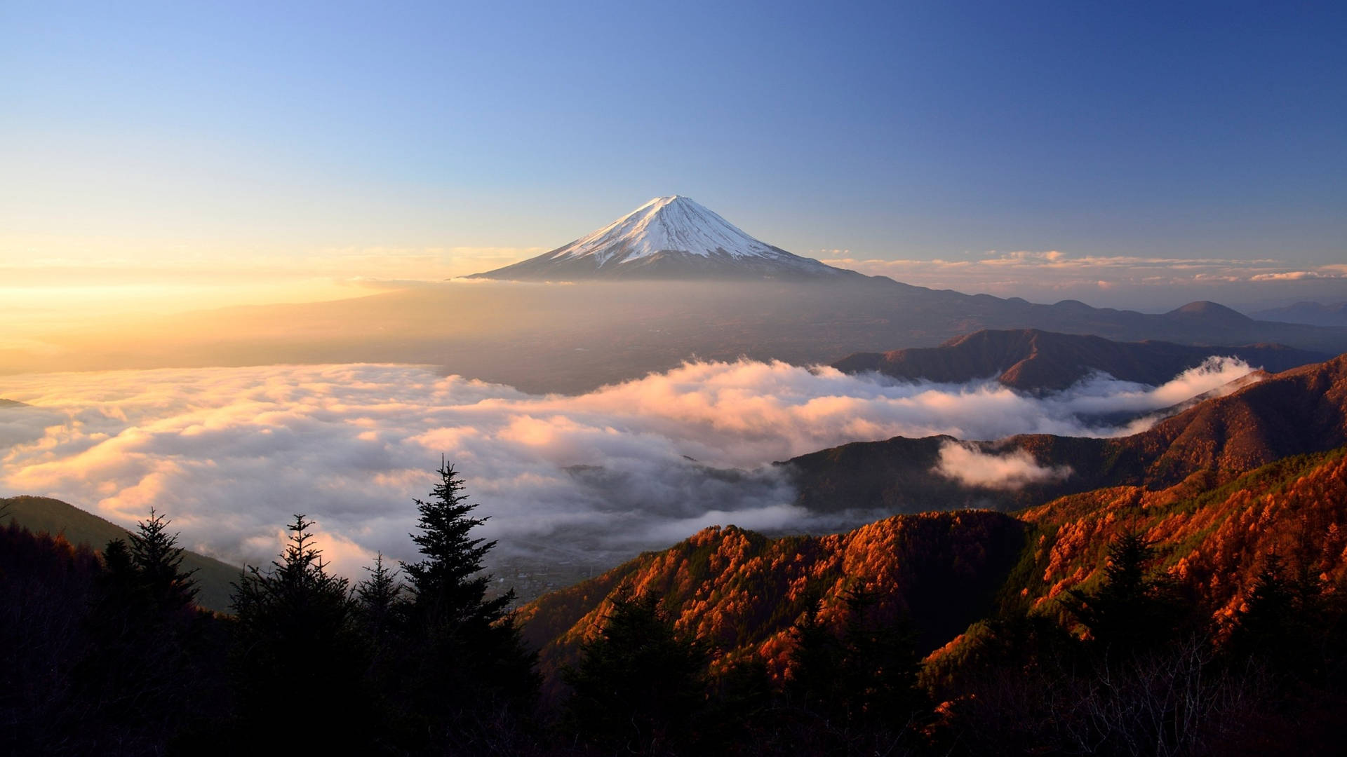 富士山在日出時聳立於雲端之上，前景是秋色森林。