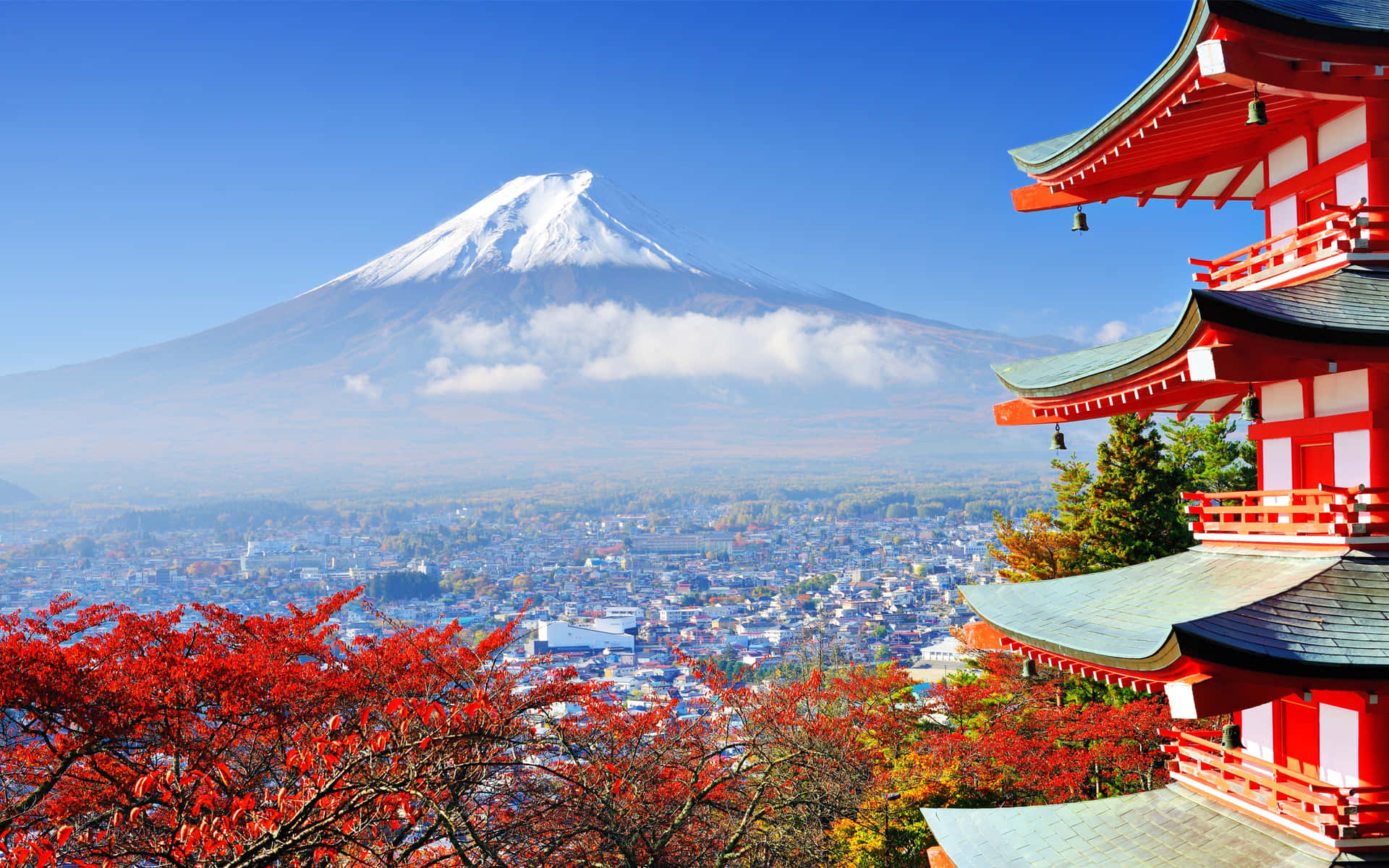 富士山與瑞穗寺 壁紙 — 白雪覆蓋的富士山在晴朗的藍天下，雄偉地聳立在鮮紅色的寺廟和秋葉之後。