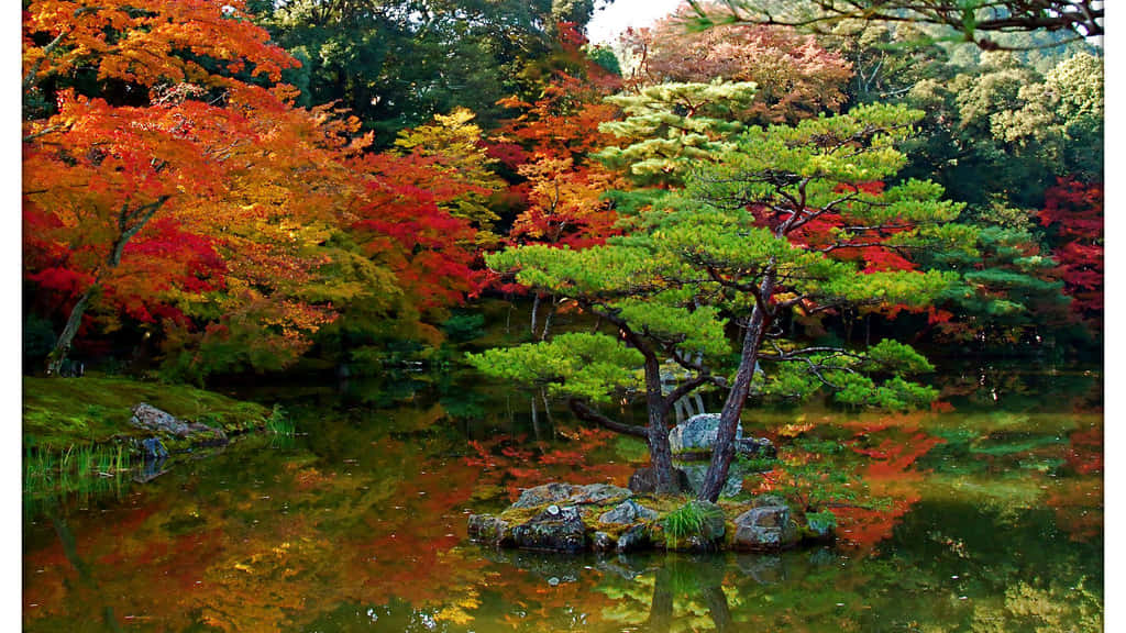 一個寧靜的秋日花園，色彩繽紛的樹木倒映在池塘中。