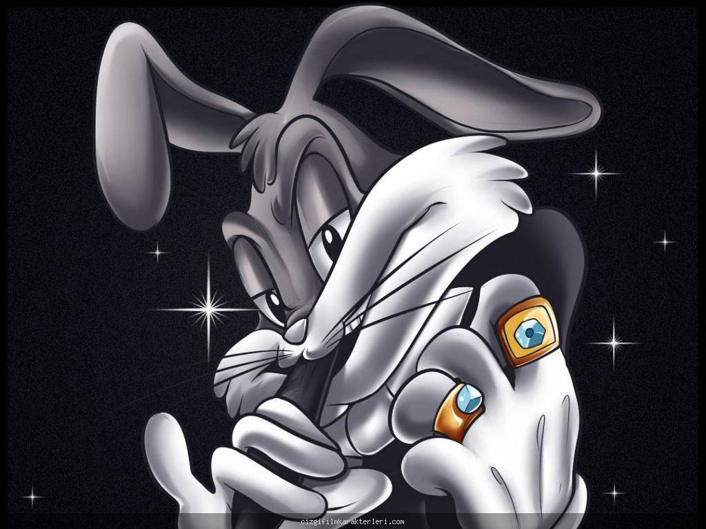卡通兔戴著戒指，背景是星光燦爛的夜空。
