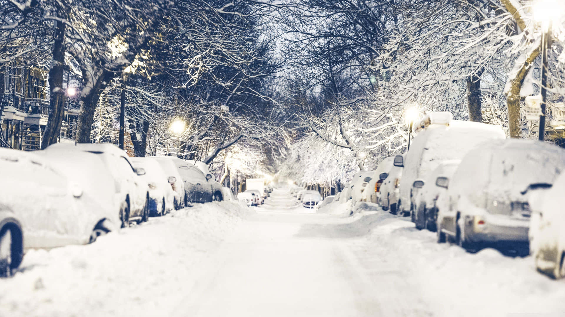被雪覆蓋的汽車停泊在夜晚有明亮路燈的林蔭街道旁。