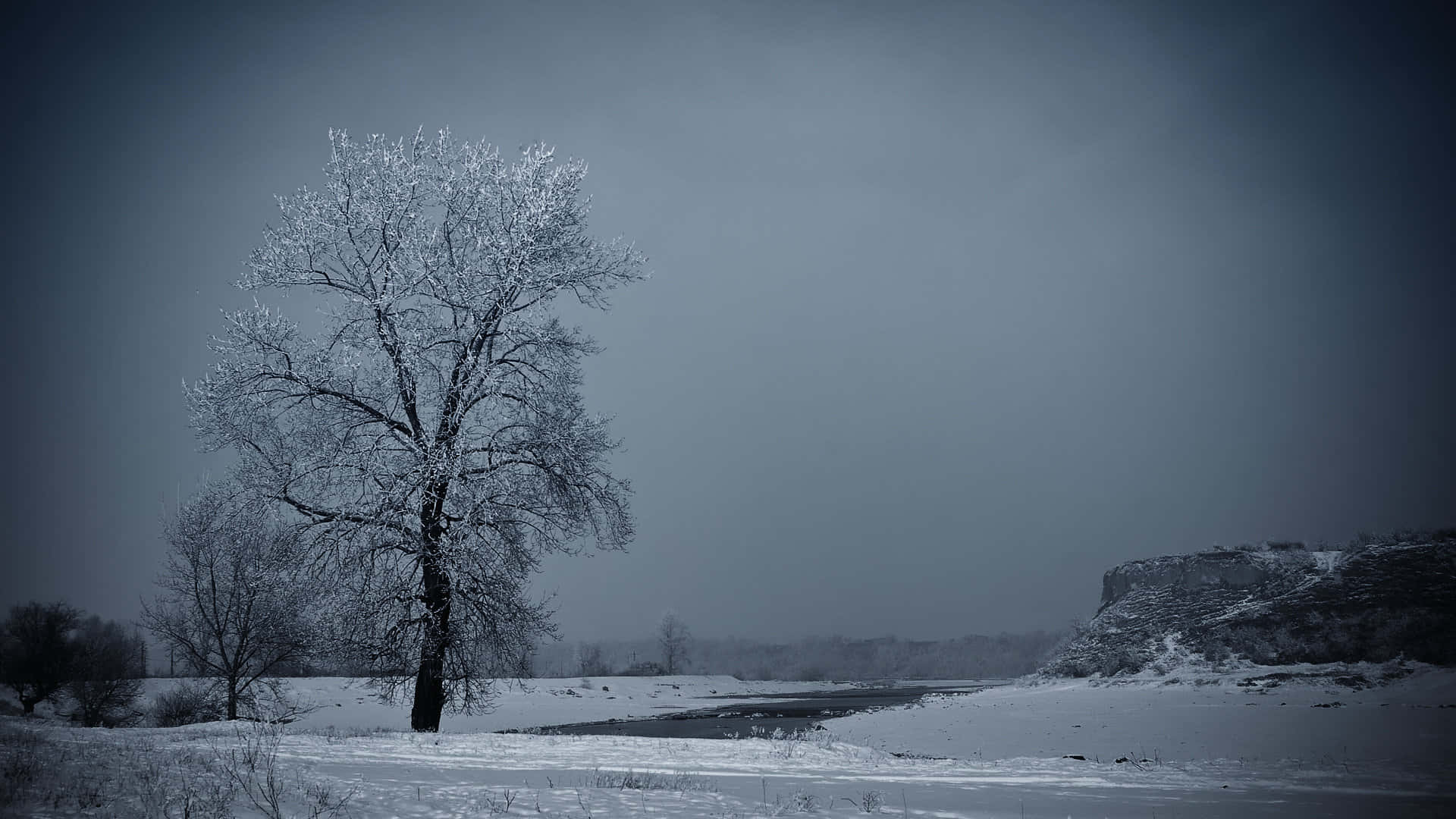 寧靜冬季背景 壁紙 — 一棵孤獨的霜凍樹木在河岸附近的雪覆蓋田野中，在灰色的冬日天空下顯得格外突出。