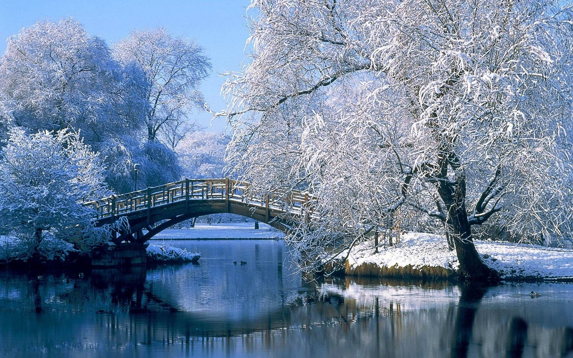 白雪覆蓋的樹木框住了一座冬季平靜河流上的木橋。
