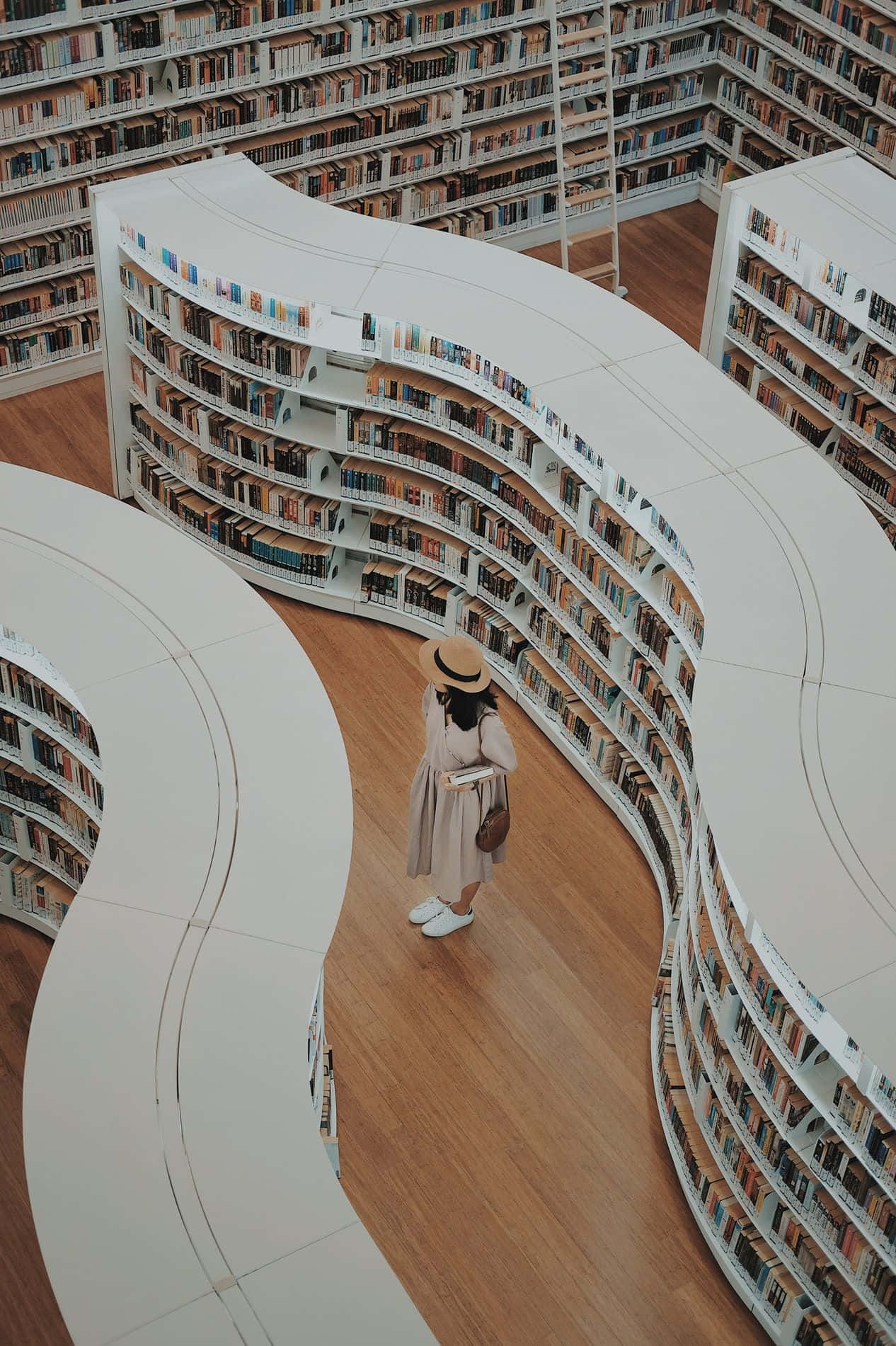 一個戴帽嘅女人行過一個現代圖書館，裏面有彎曲嘅書架。