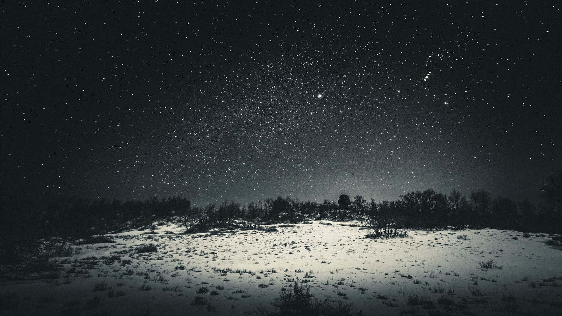 星空下帶有樹木剪影的雪地