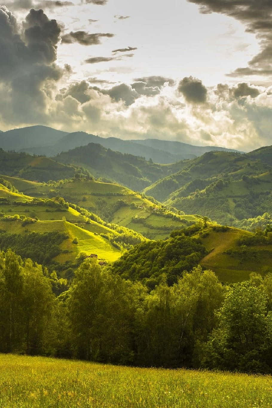 寧靜大地圖景 壁紙 — 陽光穿過戲劇性的雲層，照亮了寧靜山谷中起伏的綠色山丘和森林。