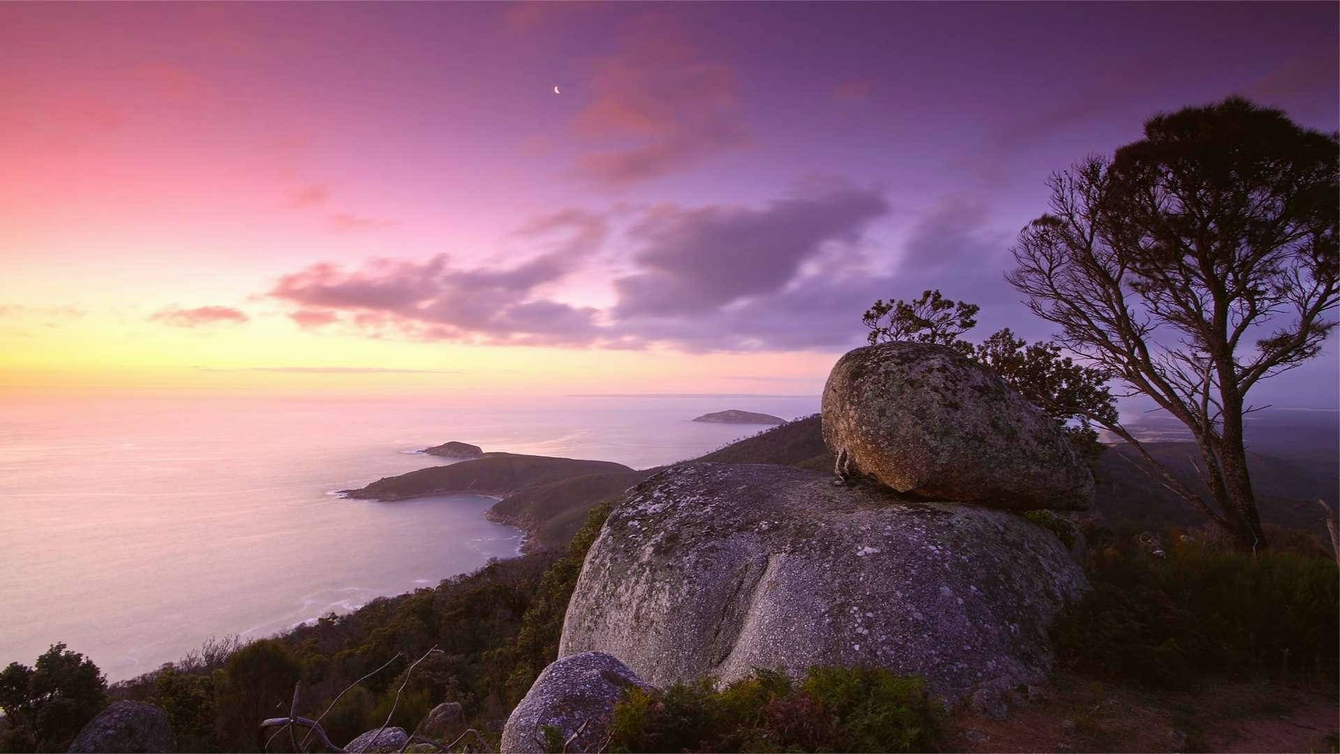 寧靜山景 壁紙 — 令人嘆為觀止的日落，海岸景觀呈現紫色和金色的天空，巨大的岩石和剪影樹木俯瞰海洋。