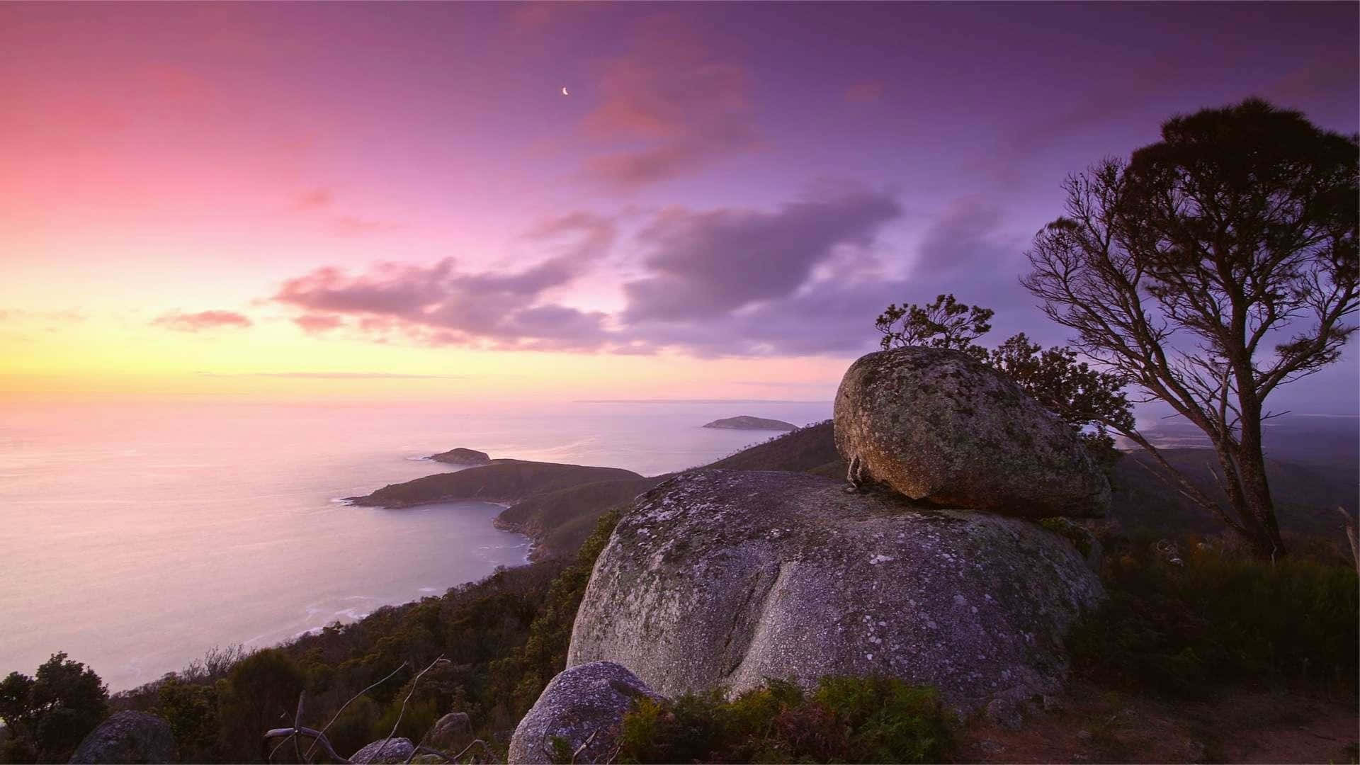 海岸日落，粉紅色、紫色和金色的天空映照著海洋懸崖和巨石，還有一棵孤獨的樹。