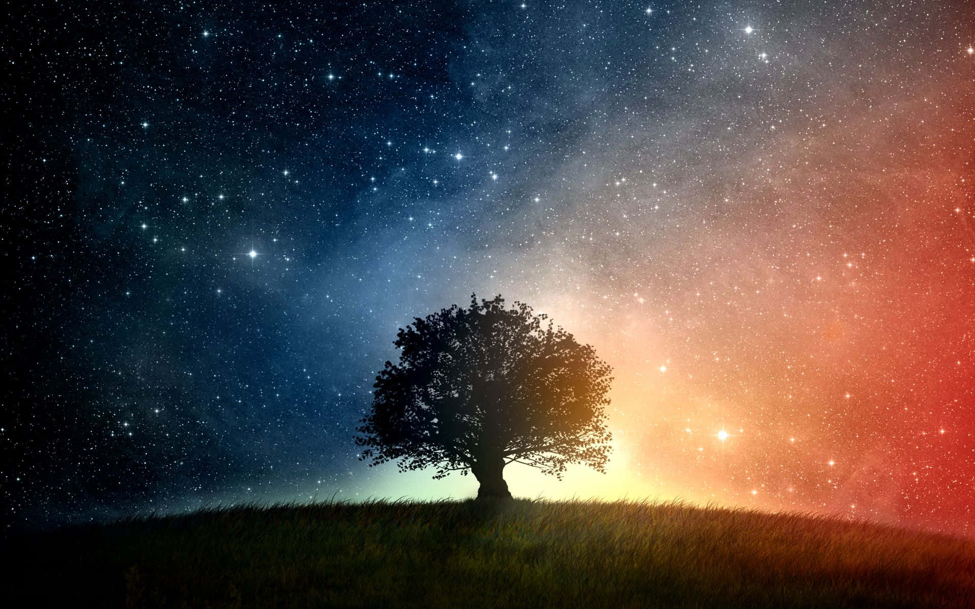 一棵孤樹在山丘上，背景是帶有藍色和橙色色調的星空暮色天空。