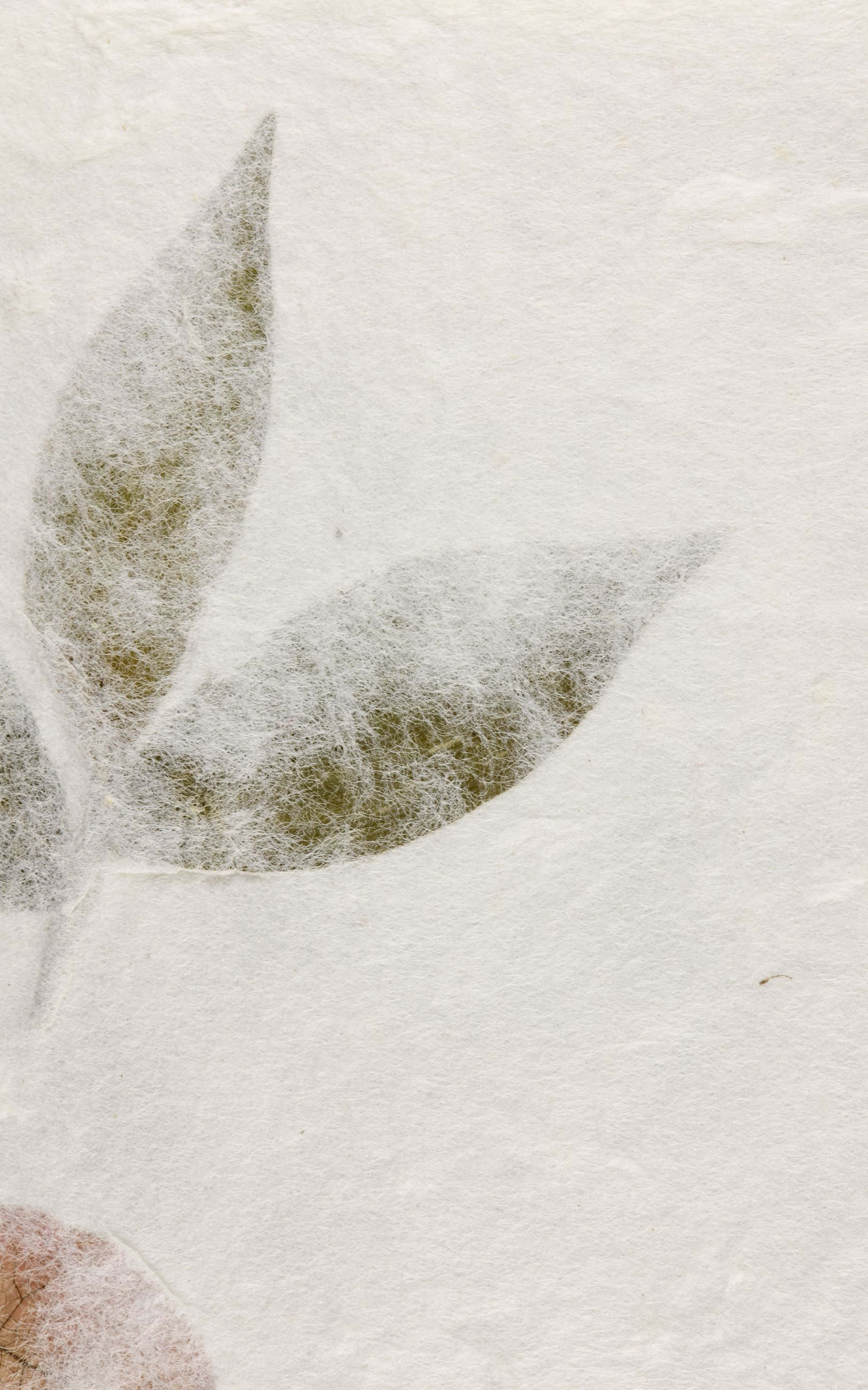 寧靜水面的壯麗日落 壁紙 — 細緻的壓花葉片帶有紋理纖維，放置在粗糙的手工紙上，呈現柔和的大地色調。