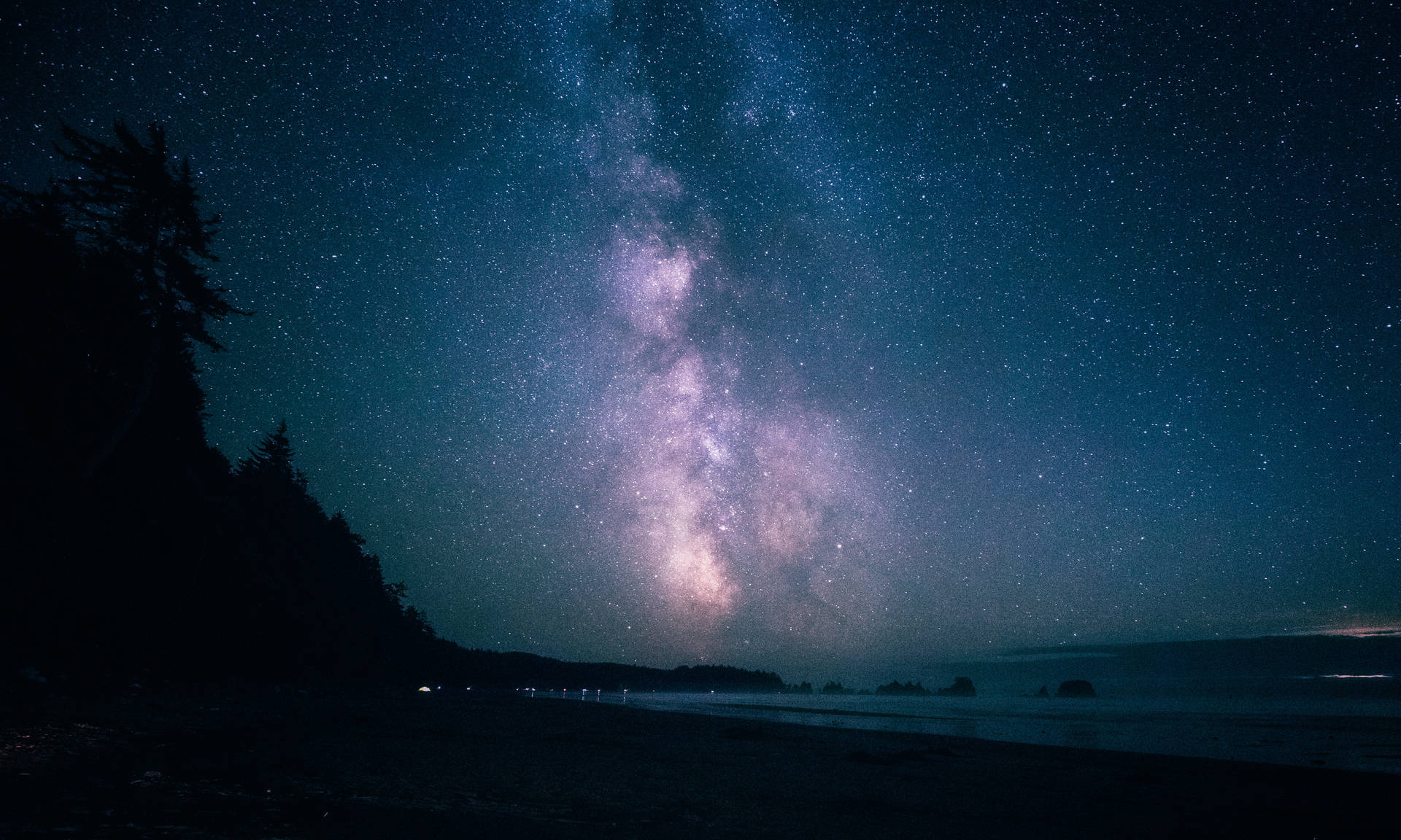 銀河系在寧靜的夜晚海灘上發光，樹木剪影。