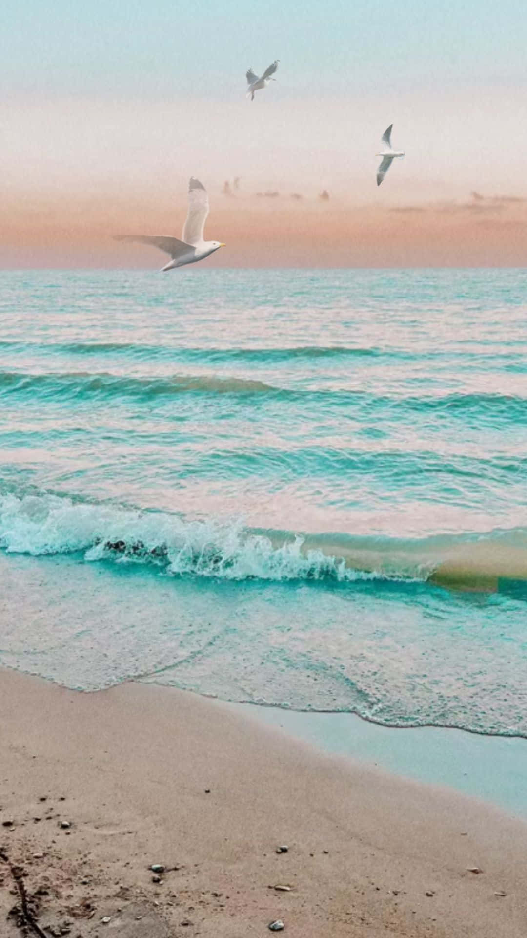寧靜海灘日落海鷗 壁紙 — 海鷗在柔和的粉紅和蜜桃色日落天空下，優雅地翱翔於拍打沙灘的碧綠海浪之上。