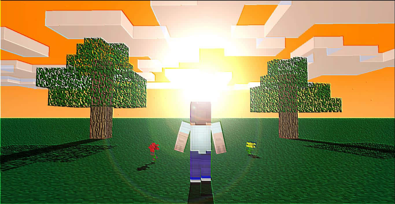 Minecraft角色面向日落，喺草地上面兩棵樹之間。