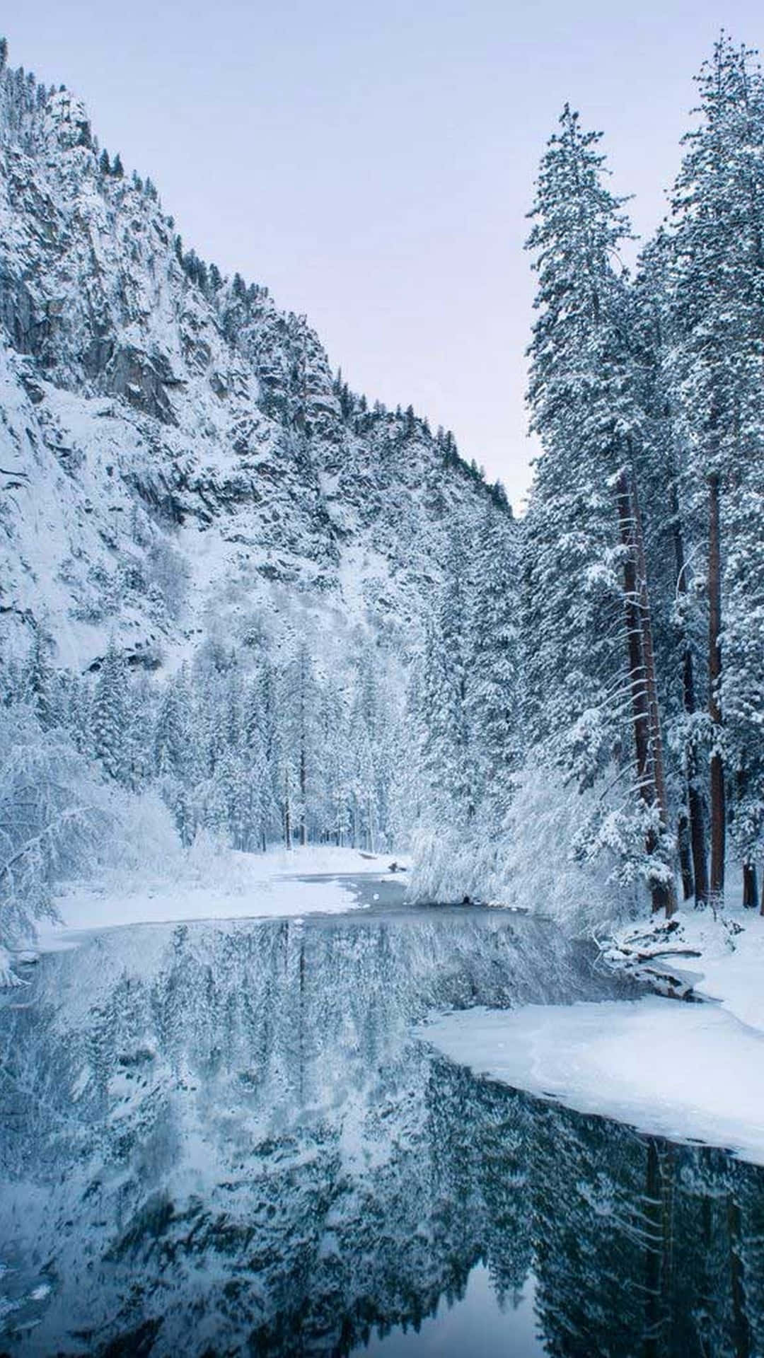 白雪覆蓋的松樹和山脈倒映在冬日寂靜的冰凍湖面上。