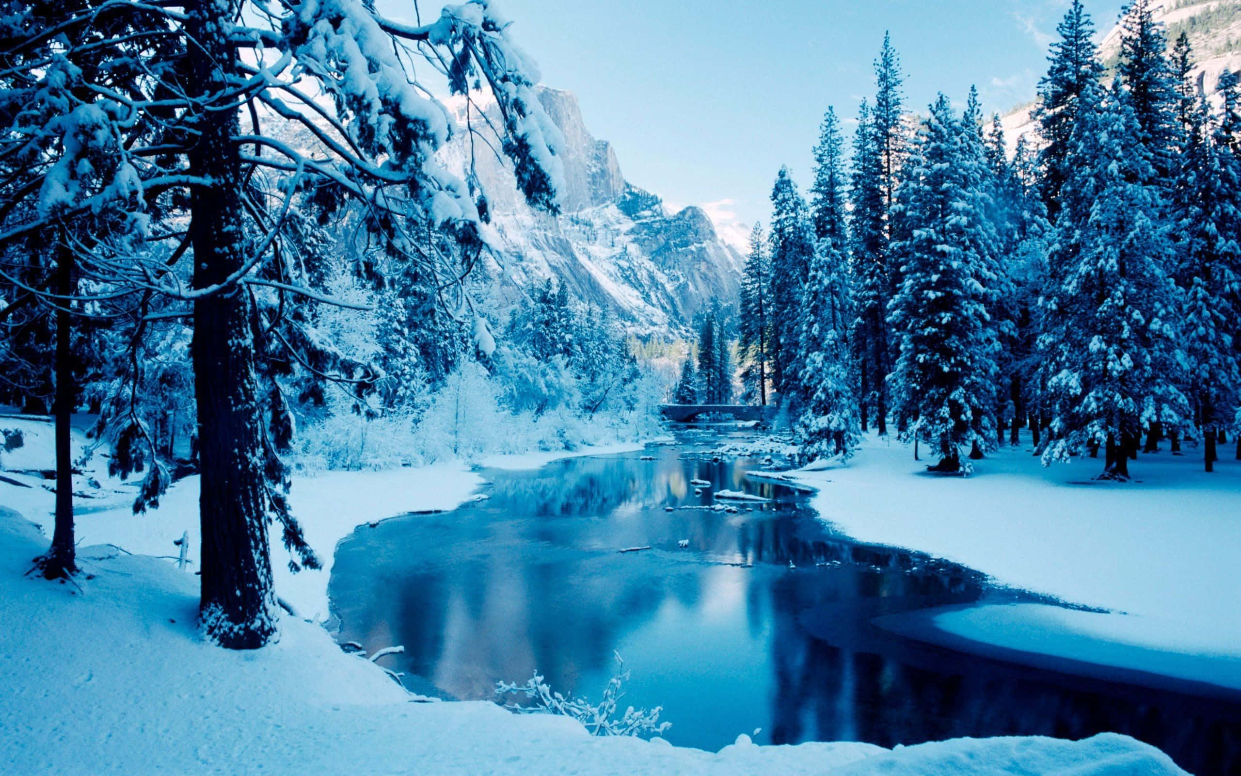 冬季場景 桌布 壁紙 — 寧靜的冬日景象，白雪覆蓋的松樹和一條平靜的河流，在晴朗的天空下倒映著高聳的藍色山脈。