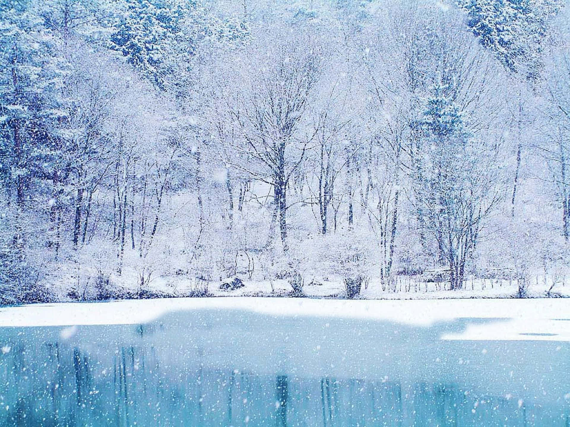 寧靜的冰原景觀 壁紙 — 白雪覆蓋光禿的樹木和結冰的湖泊，在柔和的藍色冬日天空下，雪花飄落。