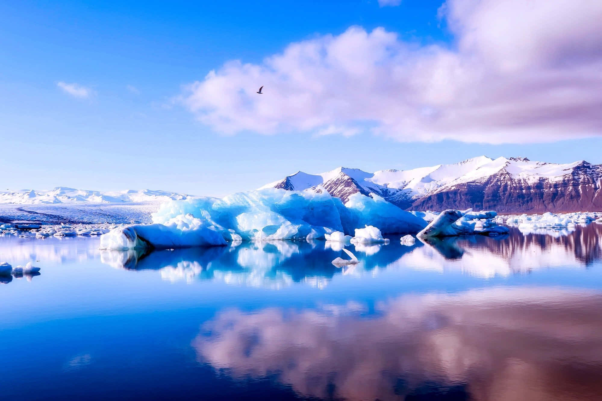 Landscapes 桌布 壁紙 — 寧靜的冰川潟湖映照著白雪覆蓋的山峰和柔軟的雲朵，在 vibrant 的藍天下，一隻孤鳥翱翔。