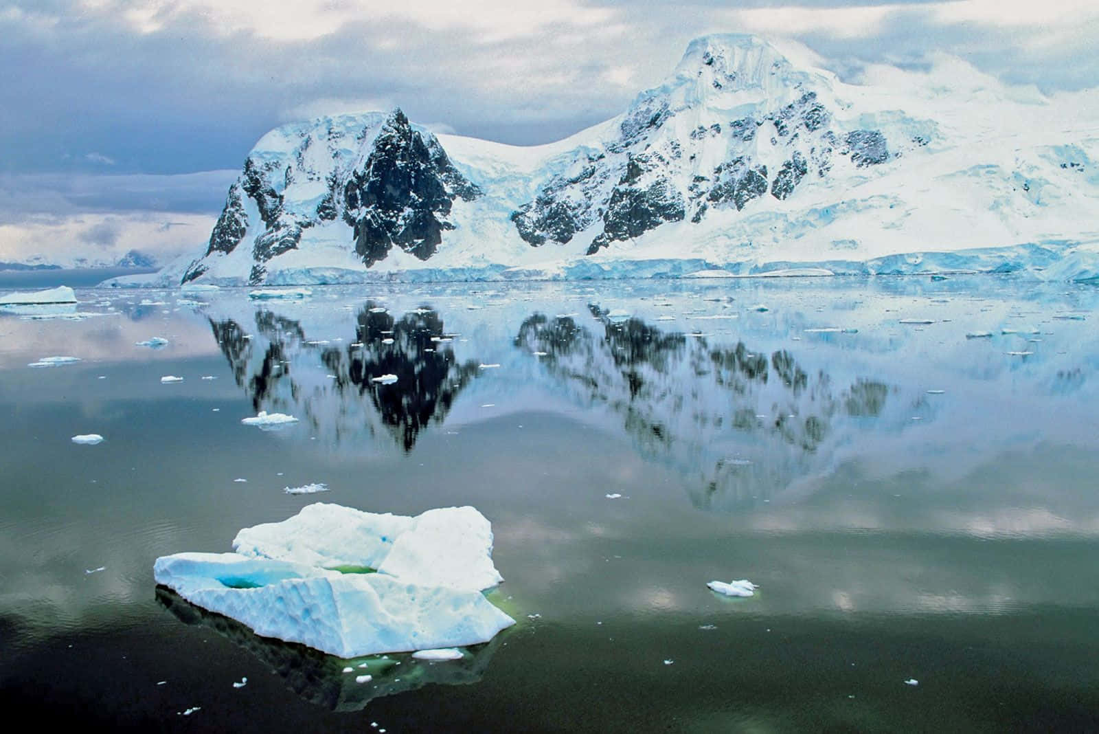 Antarctica 桌布 壁紙 — 寧靜的南極場景，積雪覆蓋的山脈倒映在平靜的水面上，周圍漂浮著冰山。