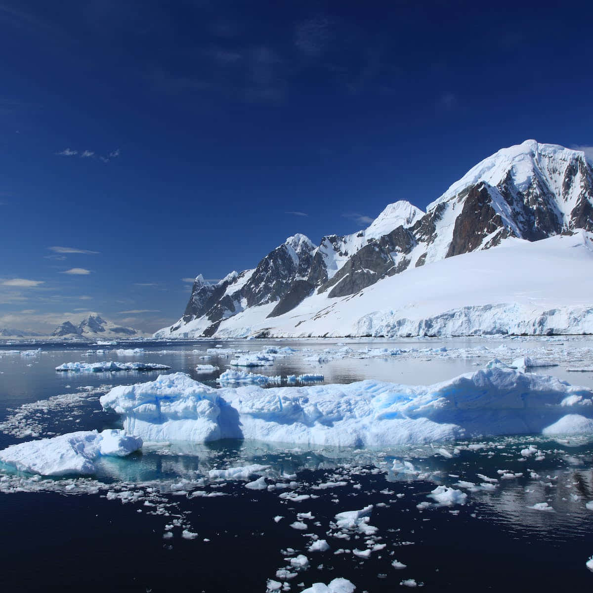Antarctica 桌布 壁紙 — 寧靜的南極場景，鋸齒狀的雪山聳立在漂浮的冰山後面，天空深藍。