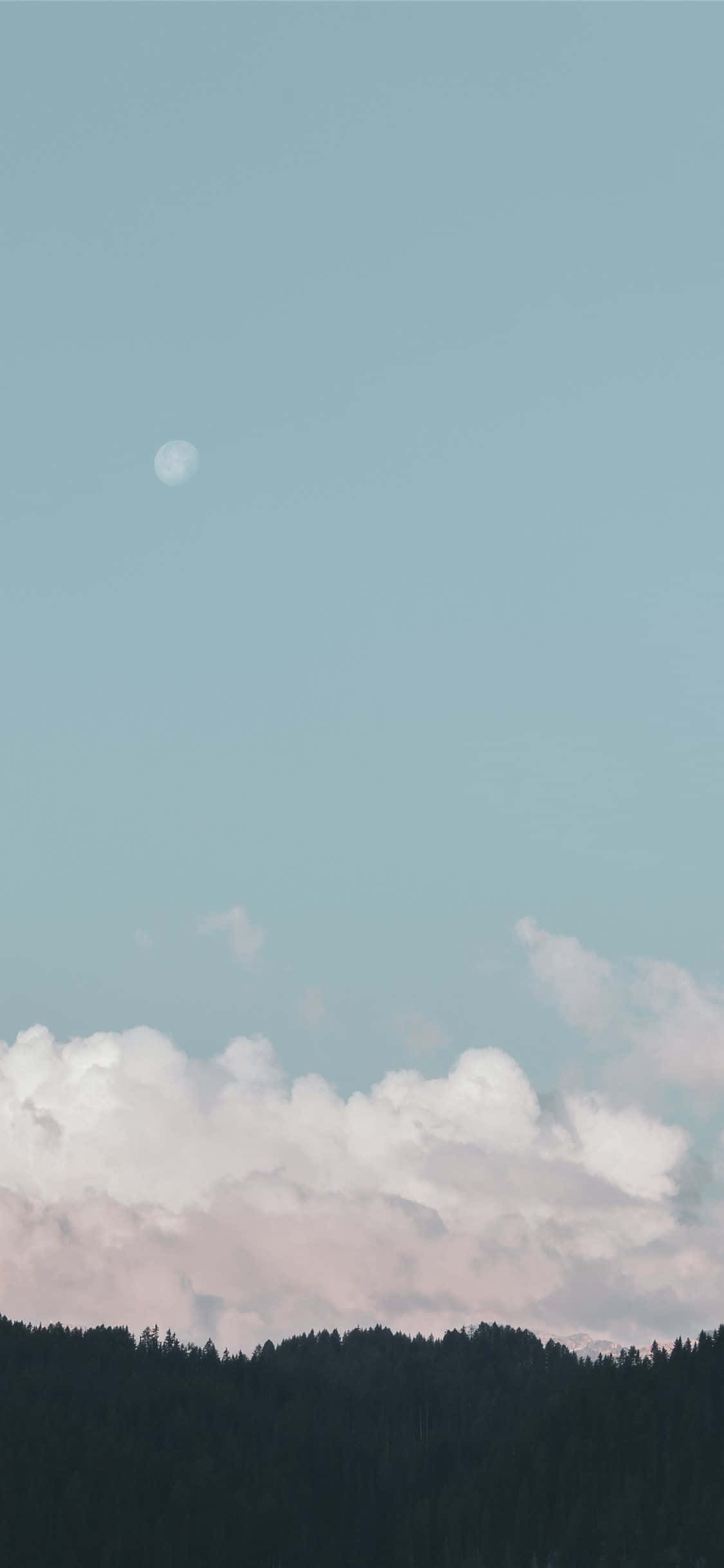 Pastel Phone 桌布 壁紙 — 寧靜的天空，一輪蒼白的月亮懸掛在柔和的粉紅色和白色雲朵之上，雲朵籠罩著黑暗的森林山脊。