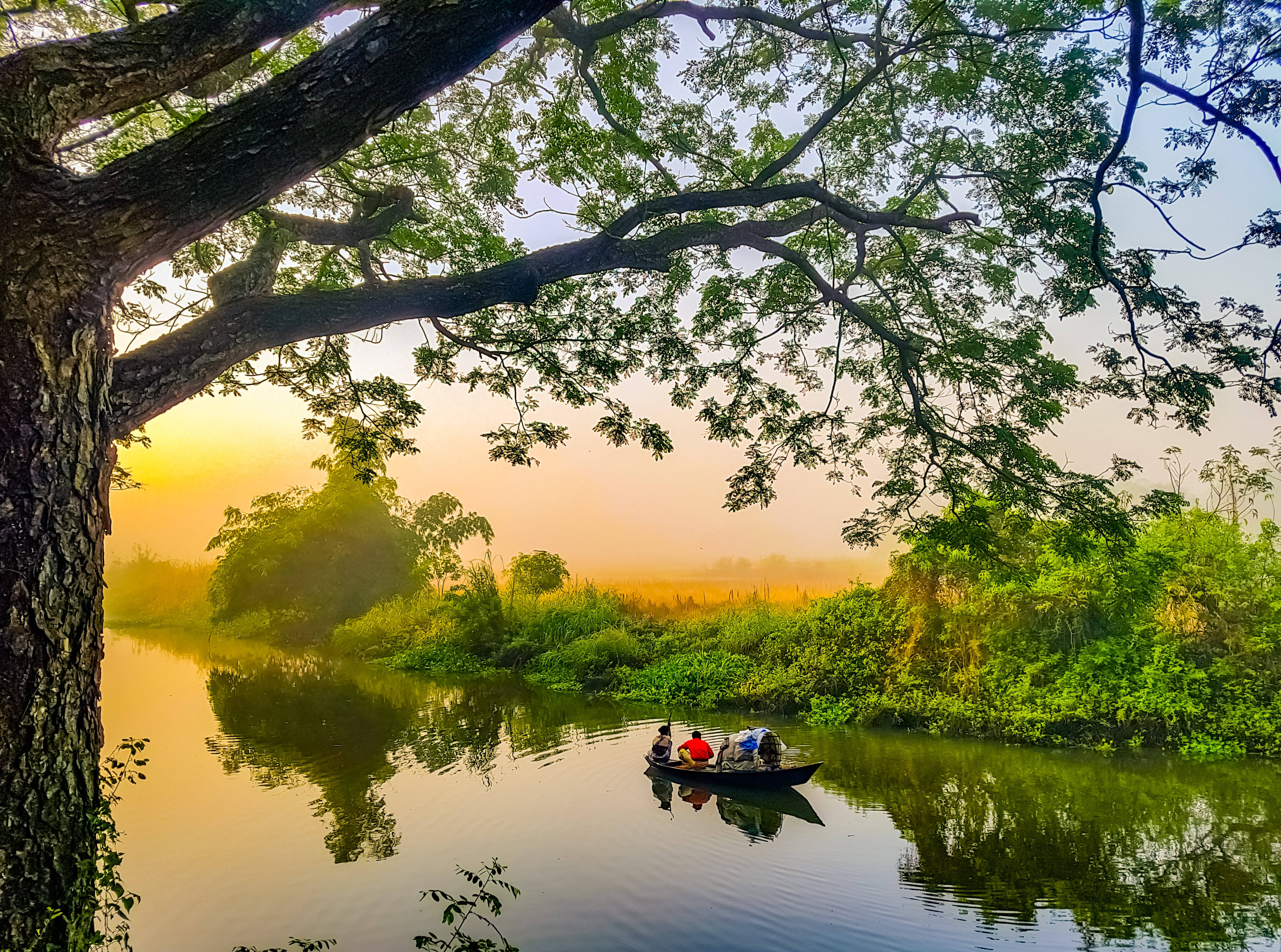 river 桌布 壁紙 — 寧靜的日出在霧氣瀰漫的河流上閃耀，一艘載著人的小船在廣闊的樹冠下滑行。