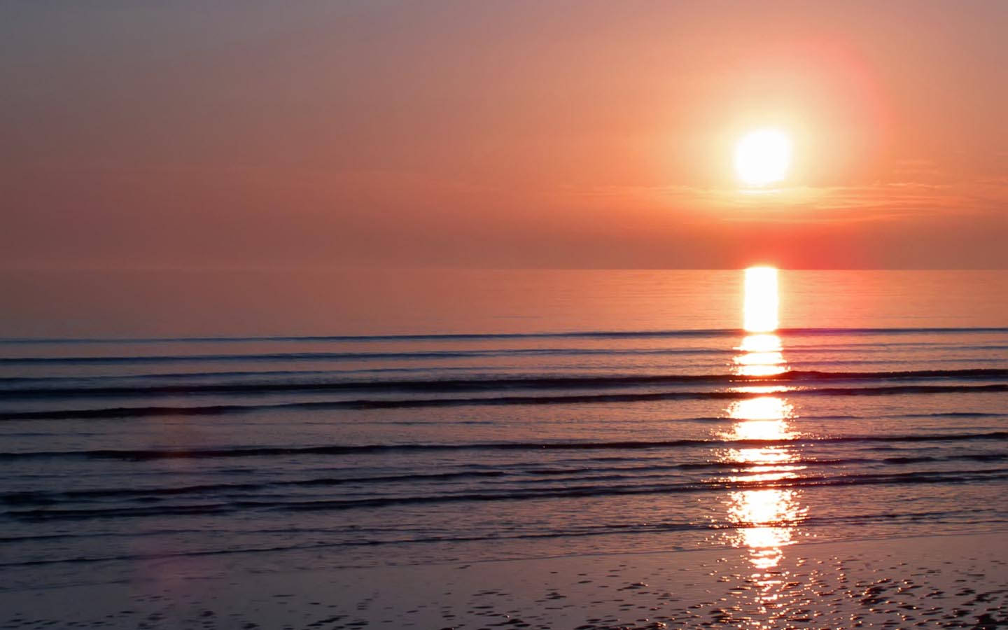 日落 桌布 壁紙 — 寧靜的日落映照在平靜的海面上，太陽在溫柔的波浪上投下金色的倒影。