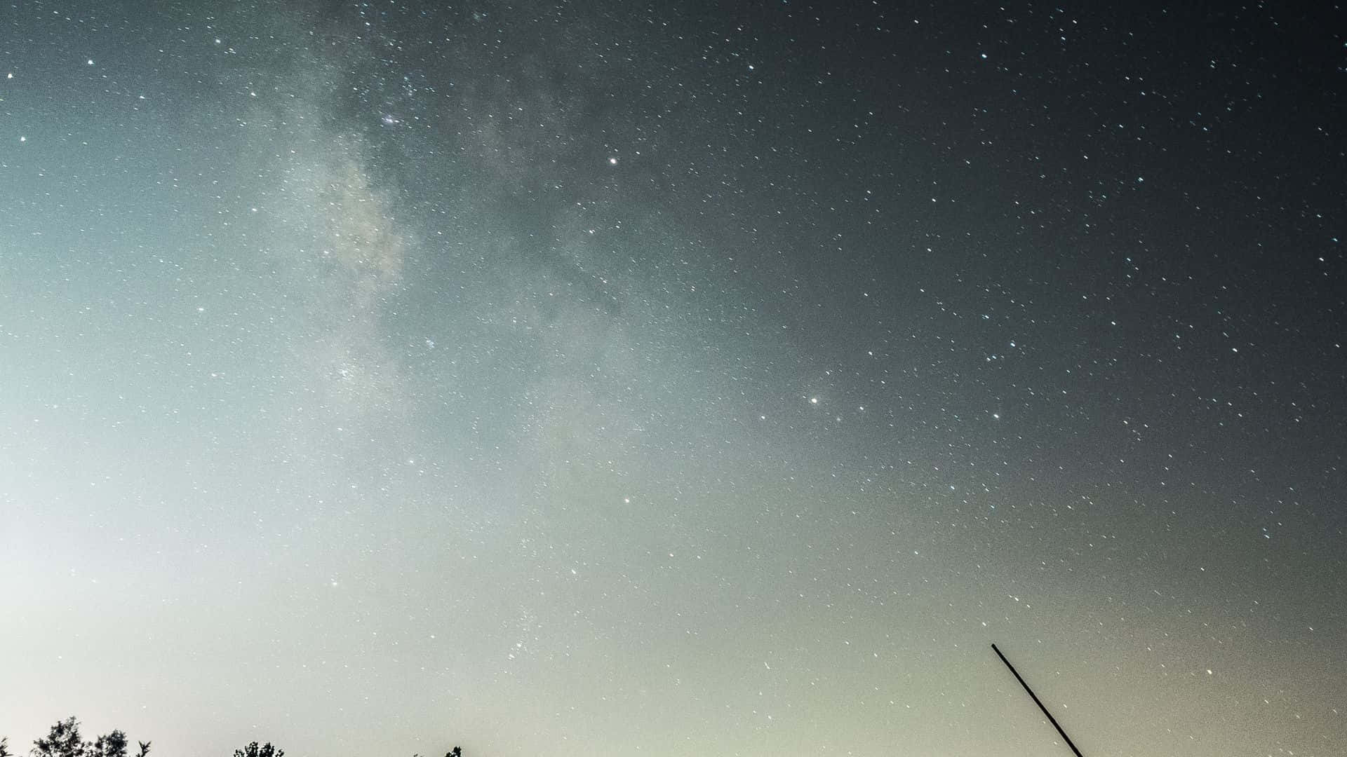 銀河系在繁星夜空下，在黑暗樹影上方發光。