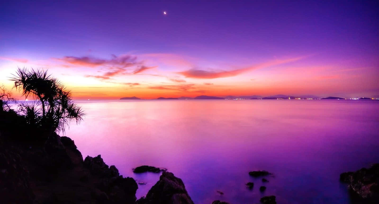 Purple Sunset 桌布 壁紙 — 寧靜的暮色海景，充滿活力的紫色和橙色天空映照在平靜的水面上，旁邊是剪影般的岩石和一棵孤獨的棕櫚樹。