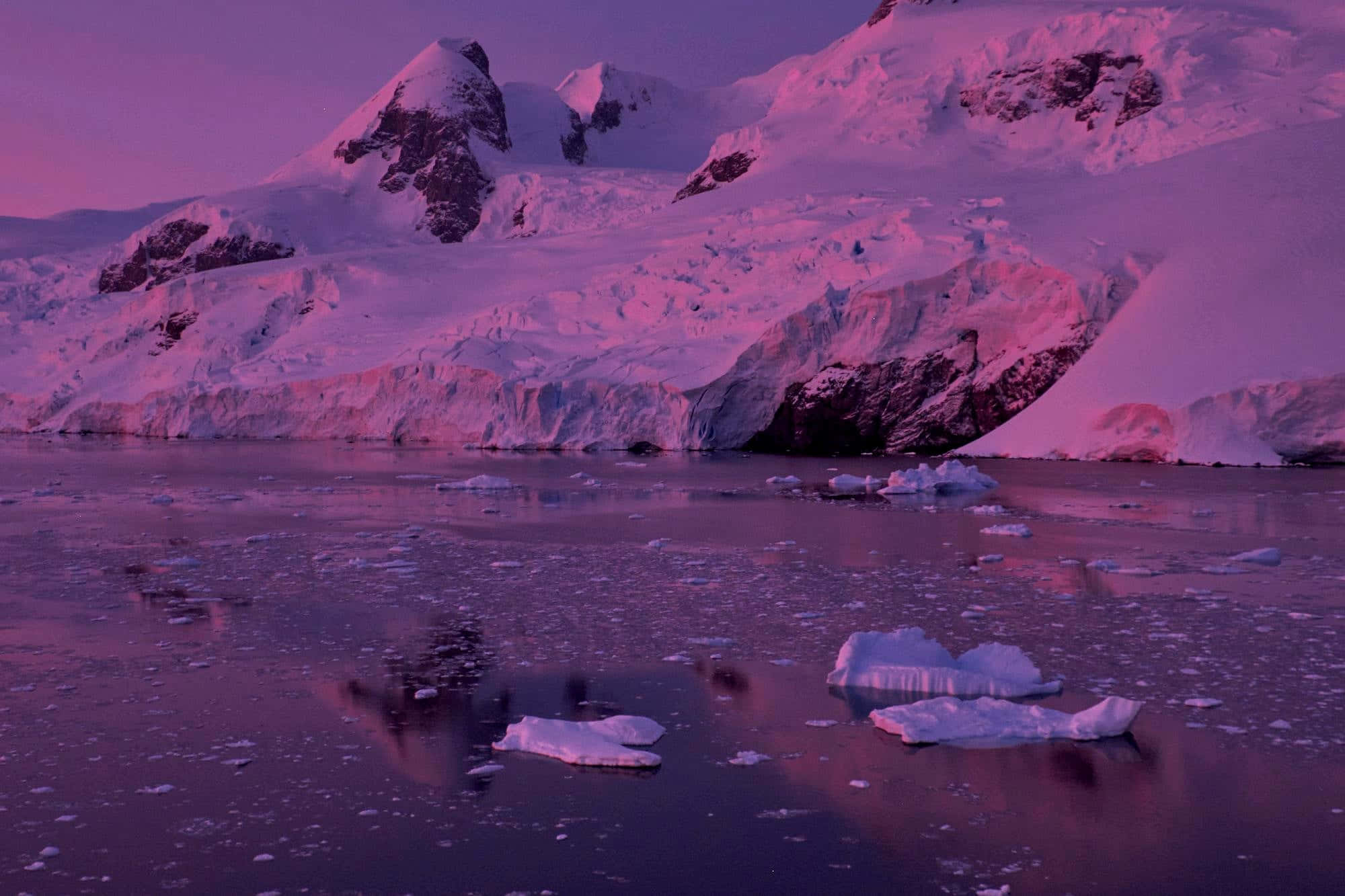 Antarctica 桌布 壁紙 — 寧靜的極地景觀沐浴在暮色粉紅調中，積雪覆蓋的山脈倒映在漂浮著冰山的冰冷水域。