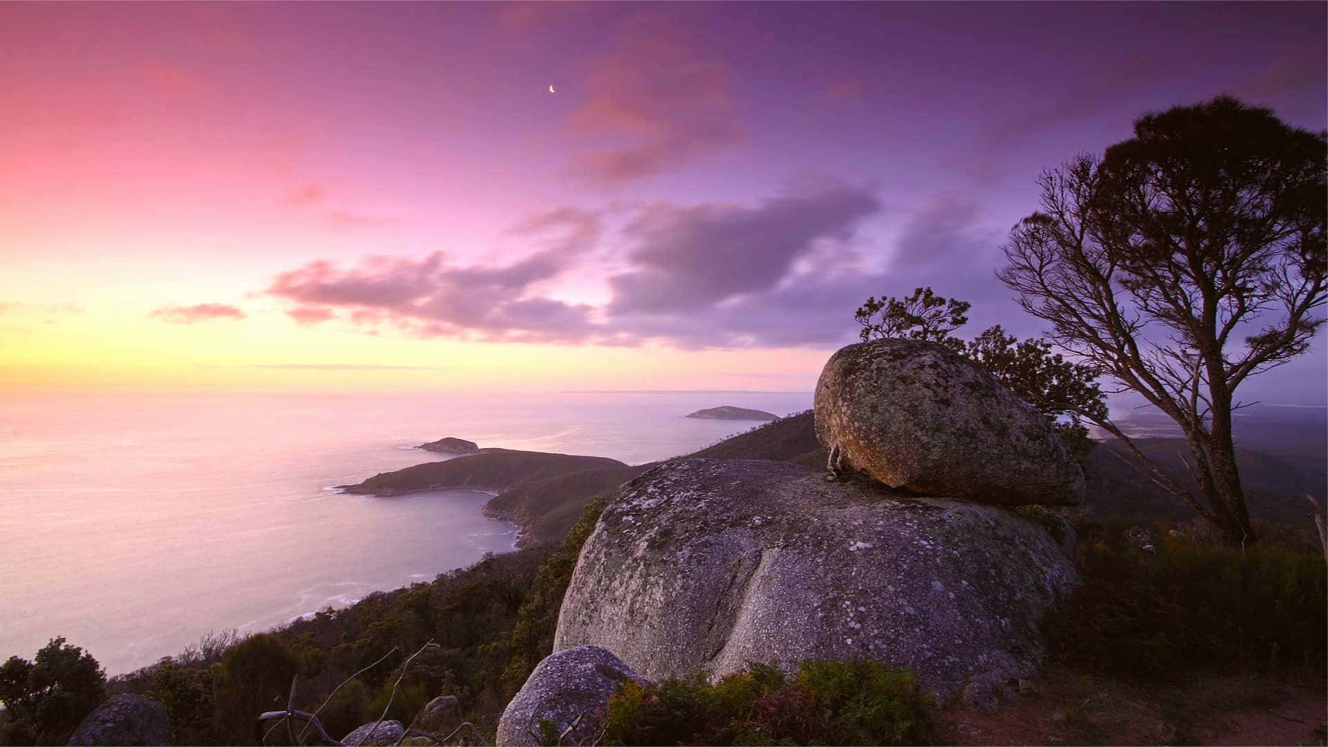 Soothing 桌布 壁紙 — 寧靜的海岸日落，紫色和粉紅色的天空映照著平靜的海洋和岩石峭壁，樹木形成剪影。