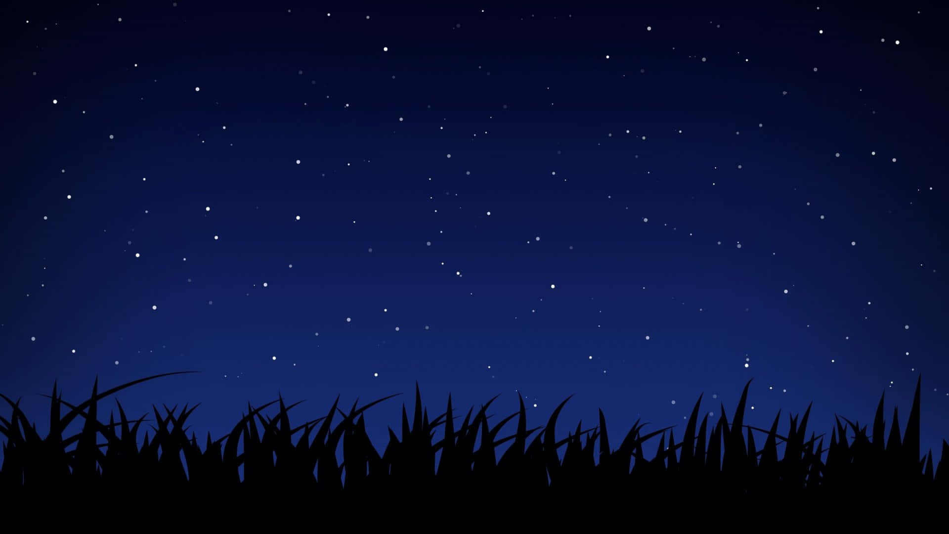 在繁星點點的夜空襯托下的深色草剪影。