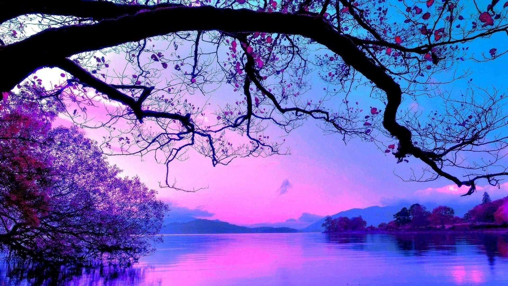 Lilac Tree 桌布 壁紙 — 寧靜的湖面倒映著超現實的紫色和粉紅色暮色天空，由一條帶有稀疏花朵的深色樹枝框住。