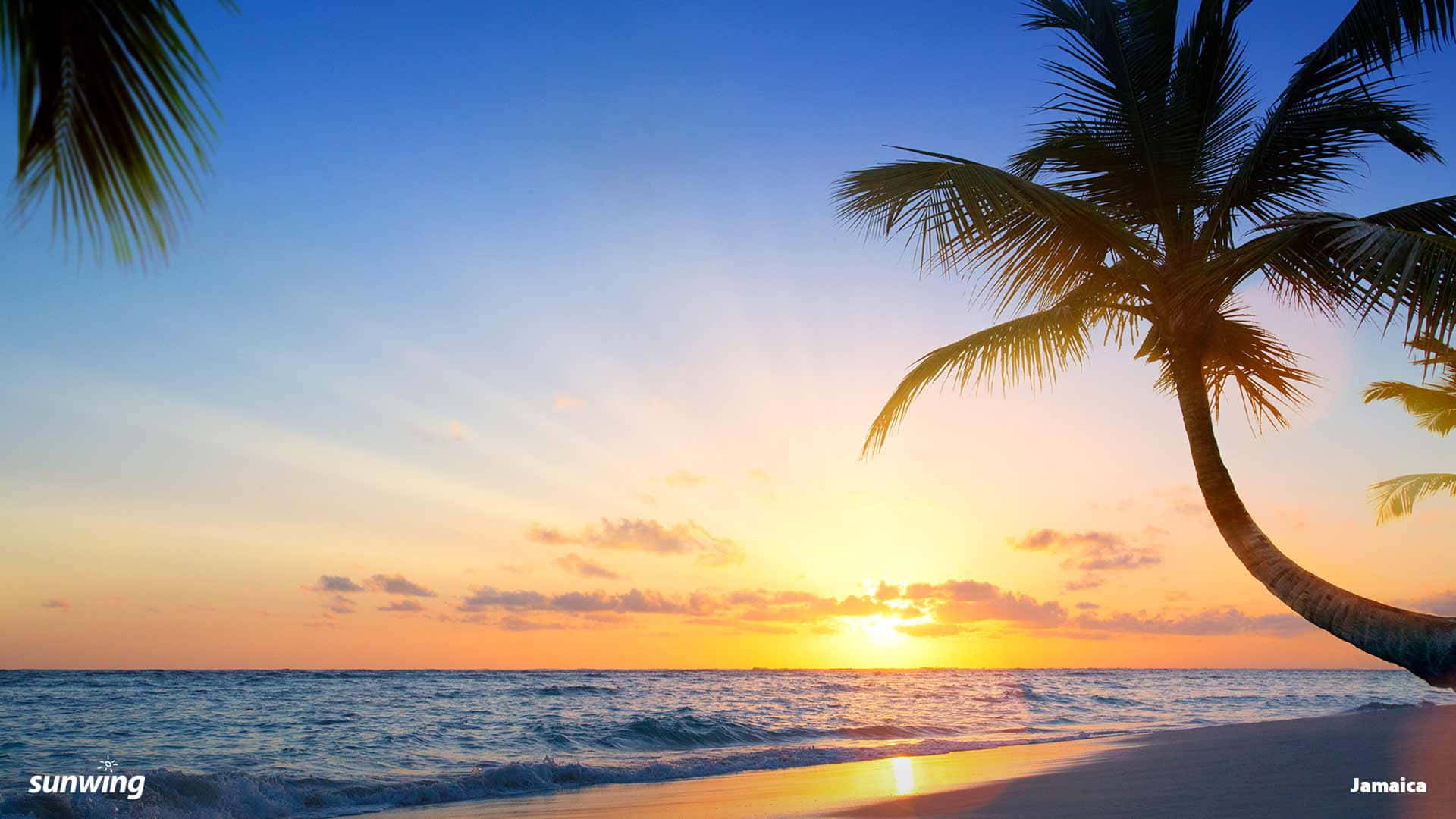Jamaica 桌布 壁紙 — 寧靜的熱帶日落，棕櫚樹在平靜的海浪上以金色天空為背景形成剪影。
