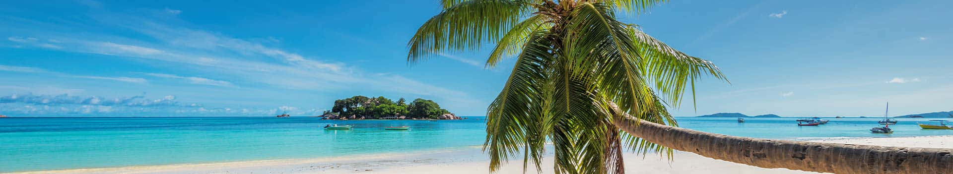 Jamaican Beach 桌布 壁紙 — 寧靜的熱帶海灘，碧綠的海水、白色的沙灘，以及一棵棕櫚樹，在清澈的藍天下勾勒出遠處鬱鬱蔥蔥的島嶼。
