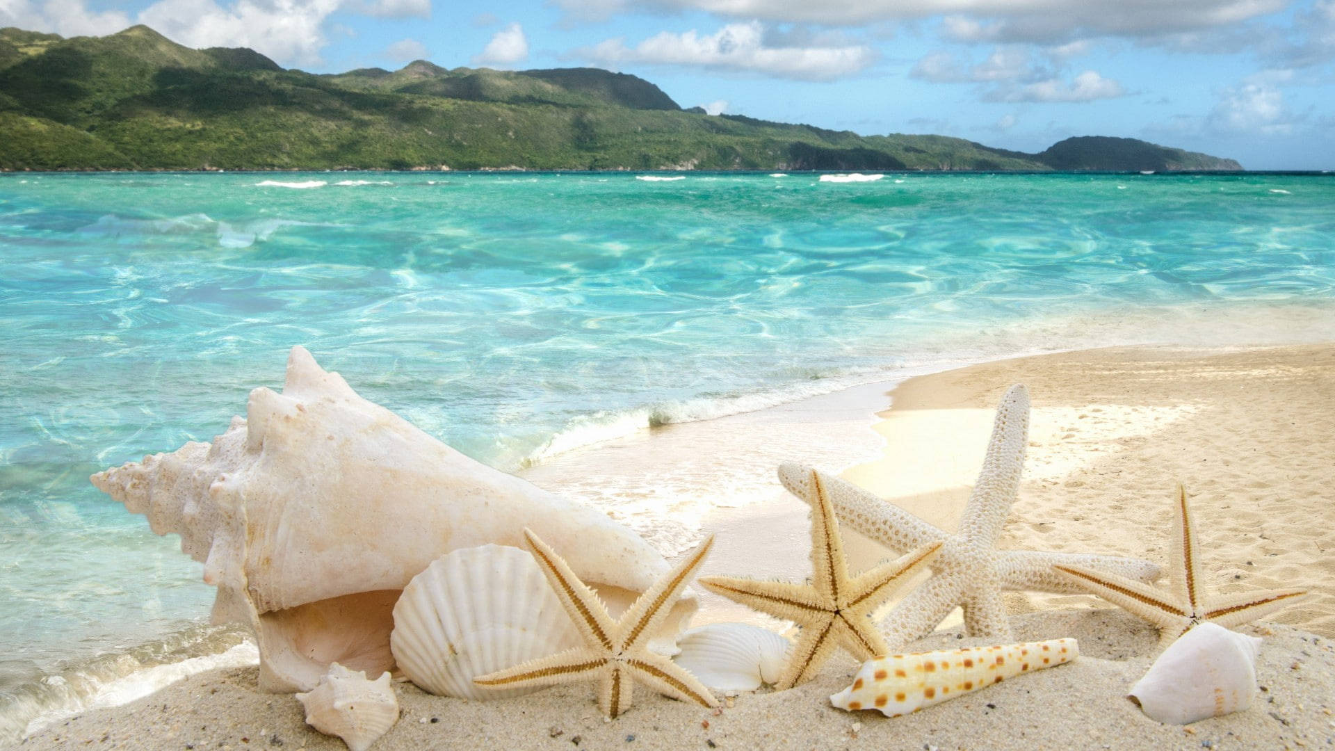 Seashell 桌布 壁紙 — 寧靜的熱帶海灘場景，碧綠海水、輕柔海浪，金色沙灘上散落著貝殼、海星和螺殼。