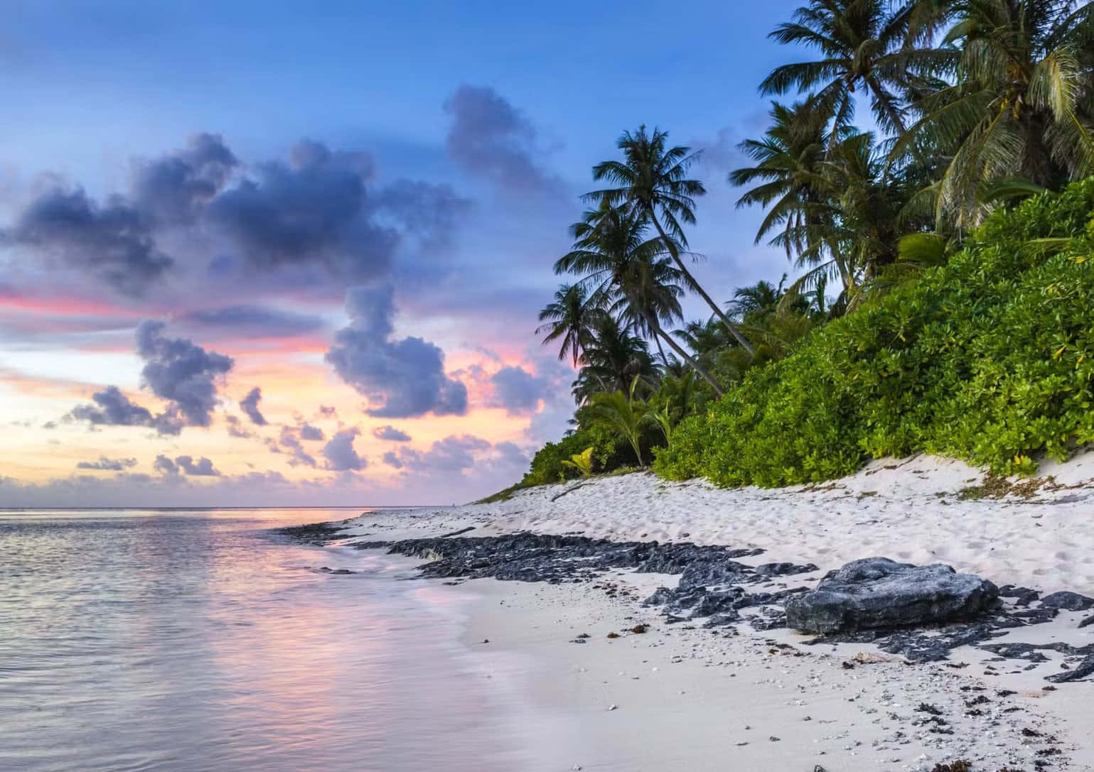 Jamaica 桌布 壁紙 — 寧靜的熱帶海灘日落，棕櫚樹在色彩繽紛的天空映襯下形成剪影，倒映在平靜的水面上。