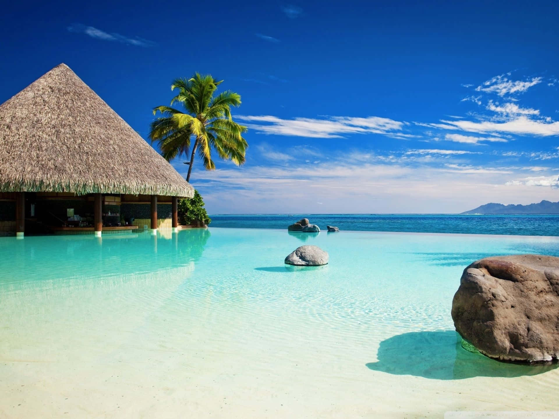 Maldives Beach 桌布 壁紙 — 寧靜的熱帶無邊際泳池與碧綠海洋融為一體，上方是藍天白雲。