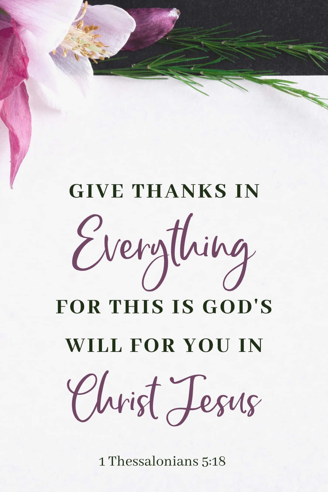 Cute Bible Verse 桌布 壁紙 — 寧靜的白色背景上，有一朵粉紫色花朵和綠葉，旁邊是優雅的手寫文字，引用帖撒羅尼迦前書5:18。