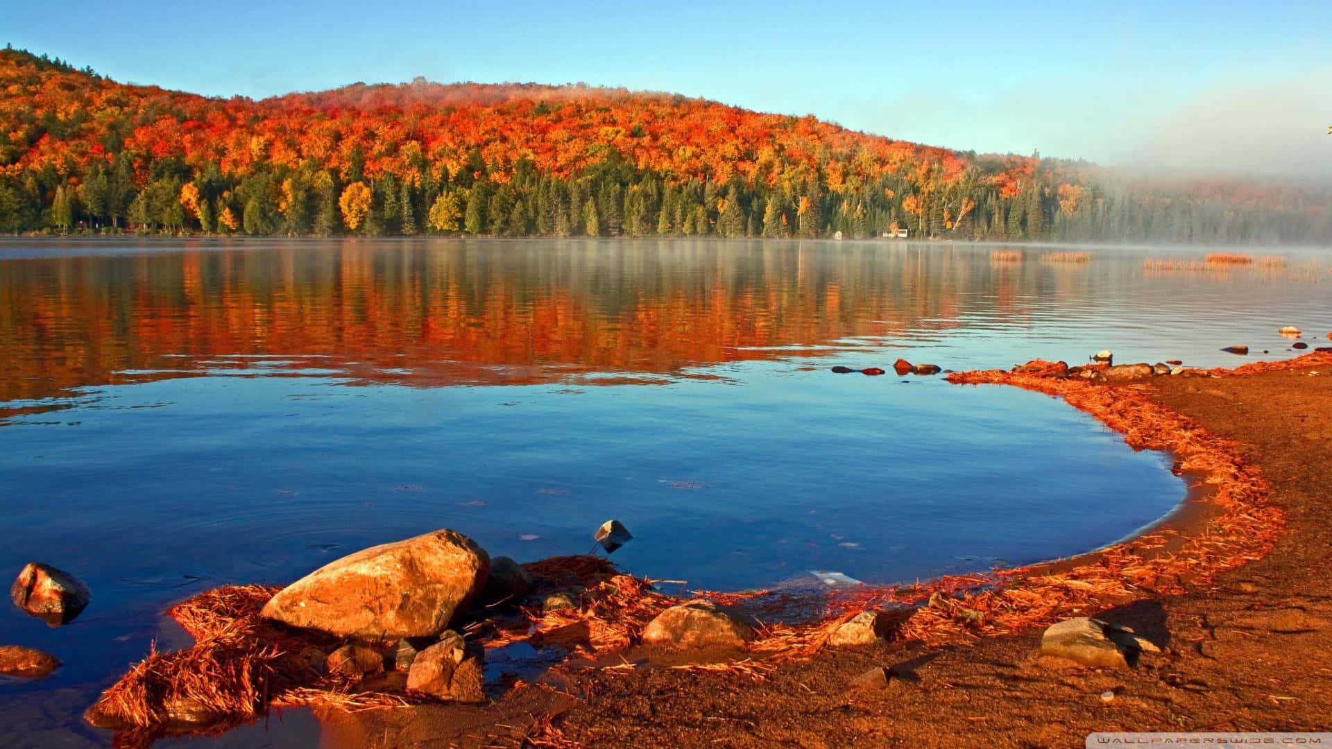 Fall Lake 桌布 壁紙 — 寧靜的秋日湖泊映照出火紅橙紅色的森林山丘，在清澈的藍天下，薄霧籠罩著平靜的水面。