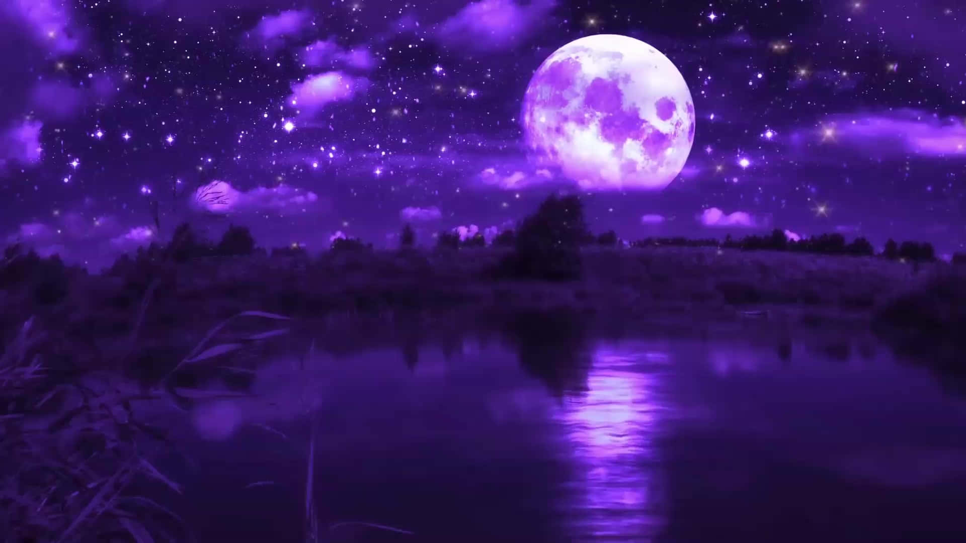 Animated Desktop 桌布 壁紙 — 寧靜的紫色夜景，一輪明亮的滿月映照在平靜的水面上，周圍是剪影般的蘆葦和遠處的樹木。
